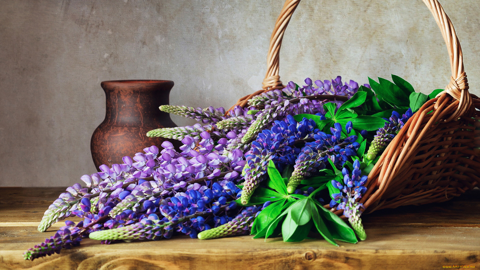 цветы, люпин, корзинка, кувшин