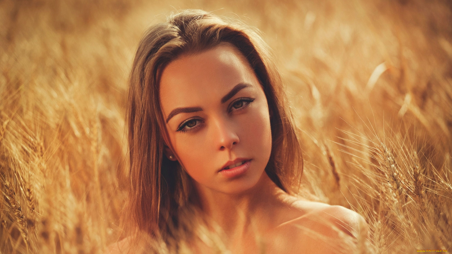 девушки, -, лица, , портреты, взгляд