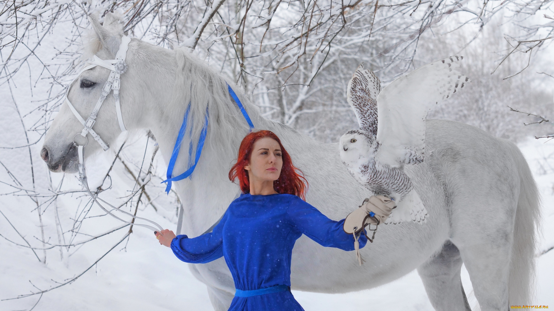 девушки, -, рыжеволосые, и, разноцветные, рыжая, платье, конь, сова, снег, зима