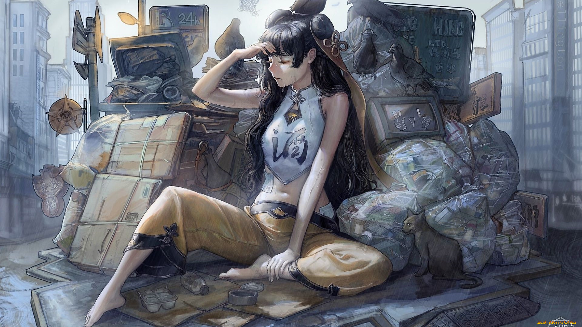 аниме, unknown, , другое, , девушка, вещи, улица, кот, голуби