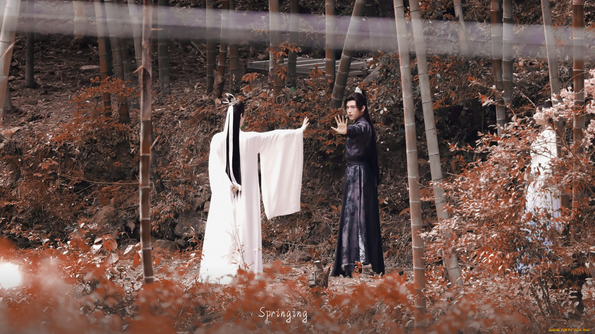 хаски, и, его, учитель, белый, кот, разное, знаменитости, ло, юнси