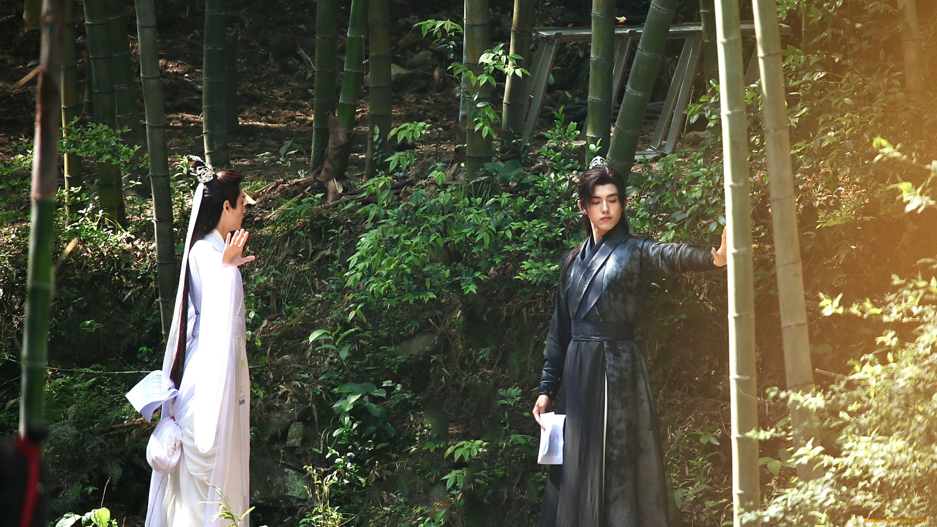 хаски, и, его, учитель, белый, кот, разное, знаменитости, ло, юнси