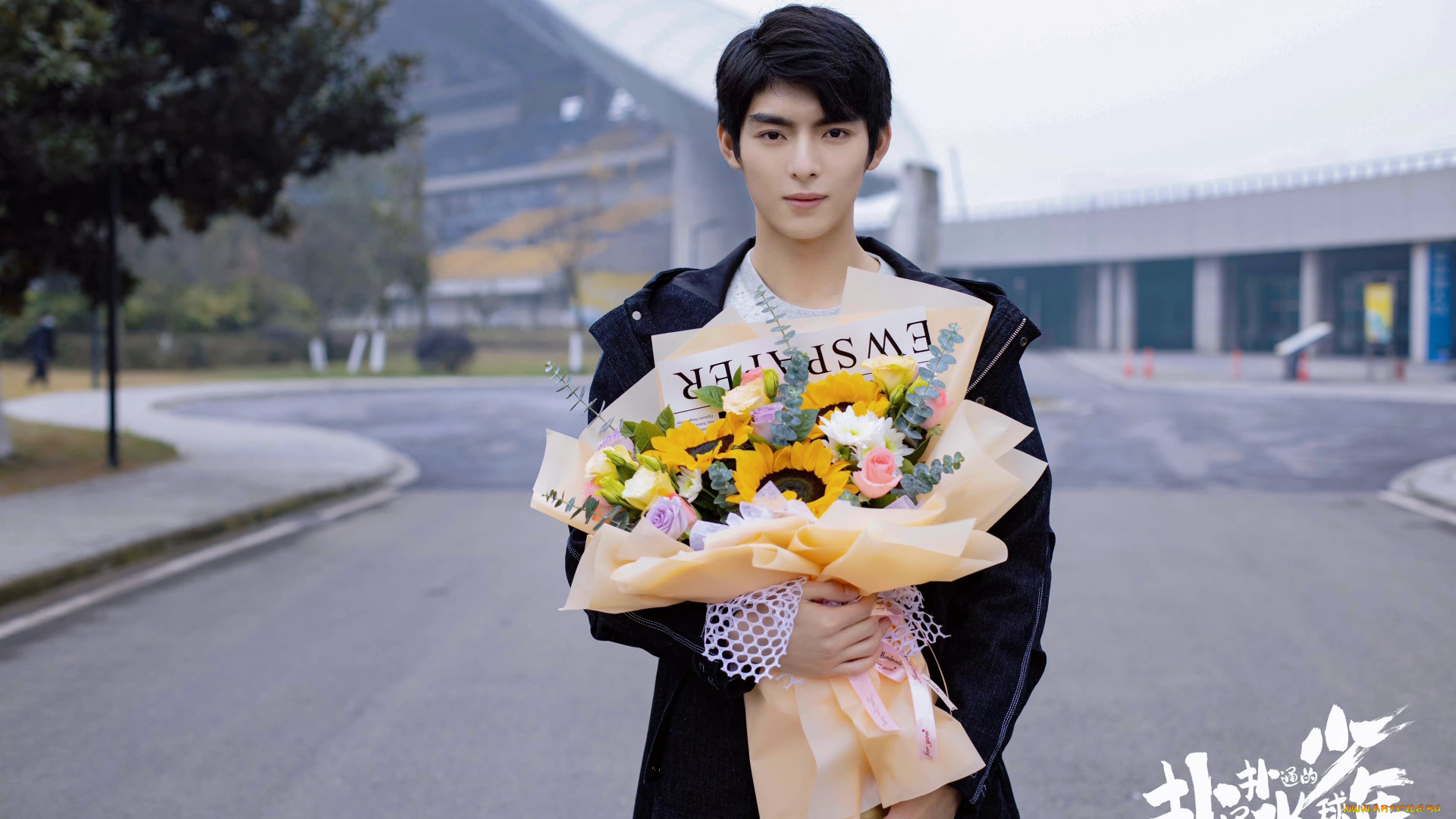 мужчины, wang, hao, xuan, ван, хао, сюань