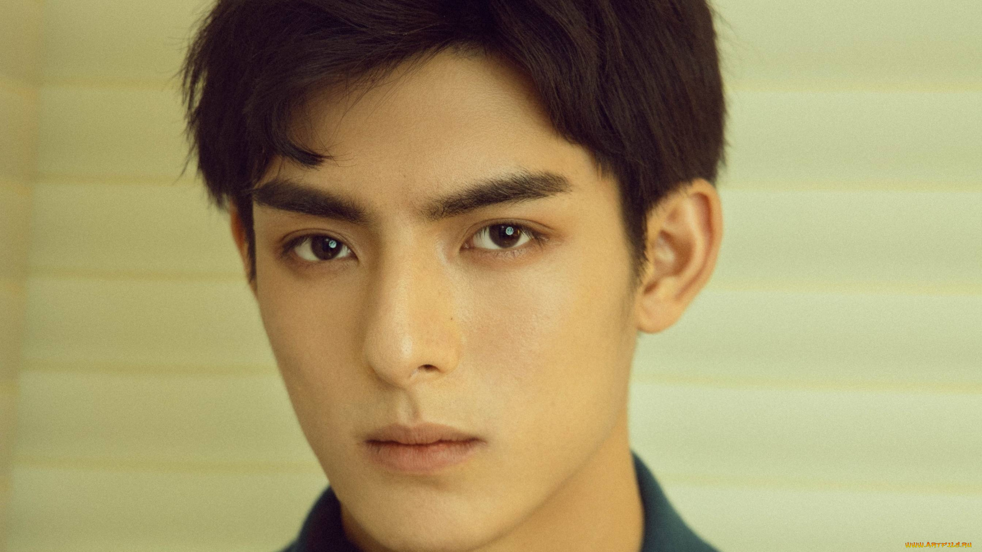 мужчины, wang, hao, xuan, ван, хаосюань, wang, hao, xuan