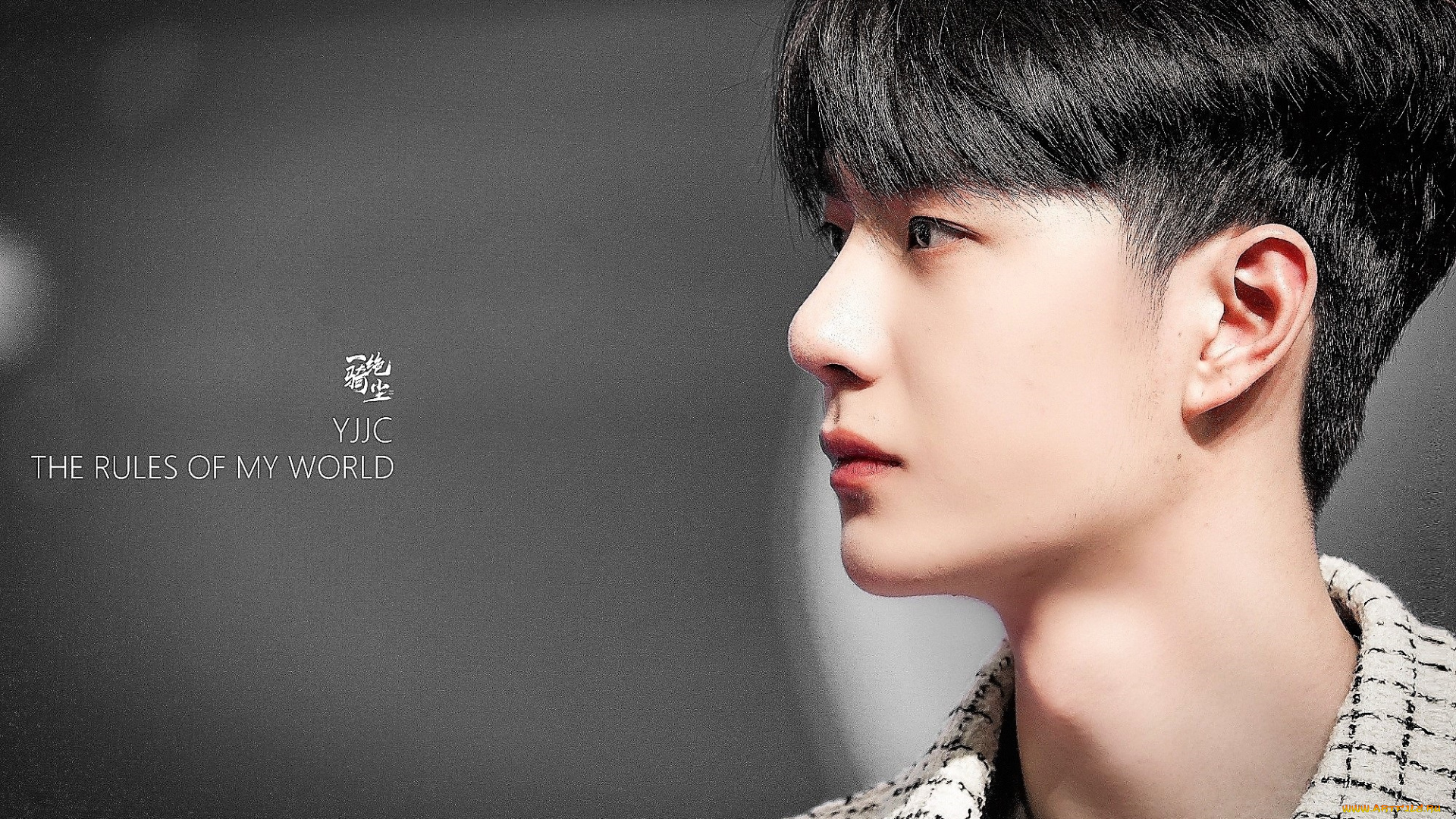 мужчины, wang, yi, bo, лицо, профиль