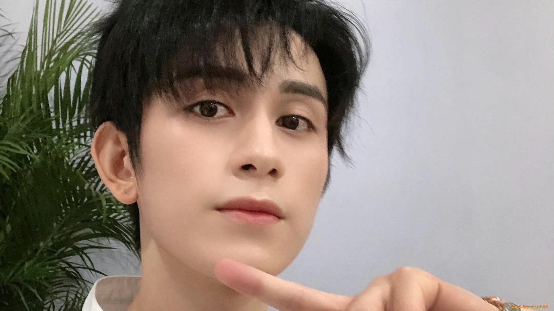 мужчины, zhu, zanjin, zhu, zanjin, чжу, цзаньцзинь