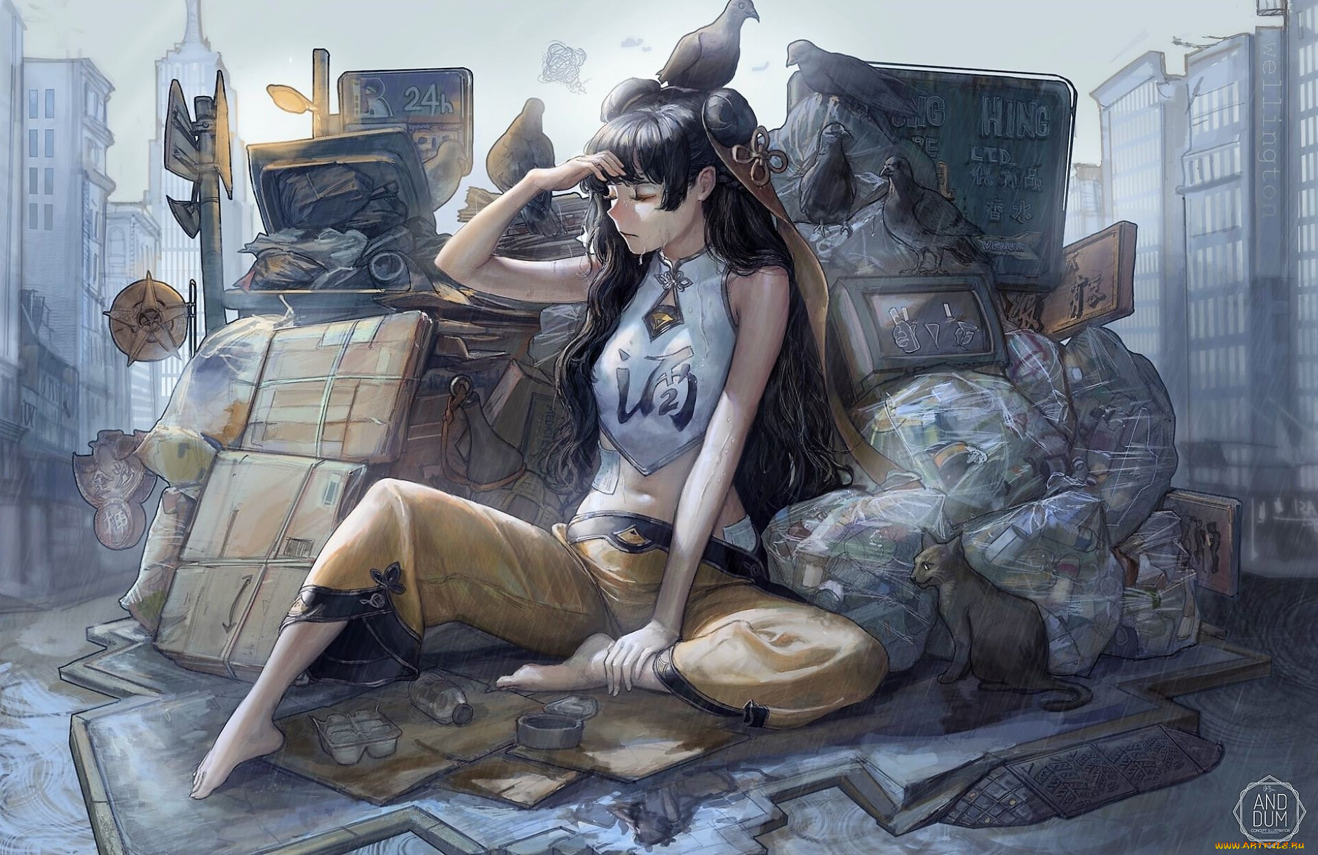 аниме, unknown, , другое, , девушка, вещи, улица, кот, голуби