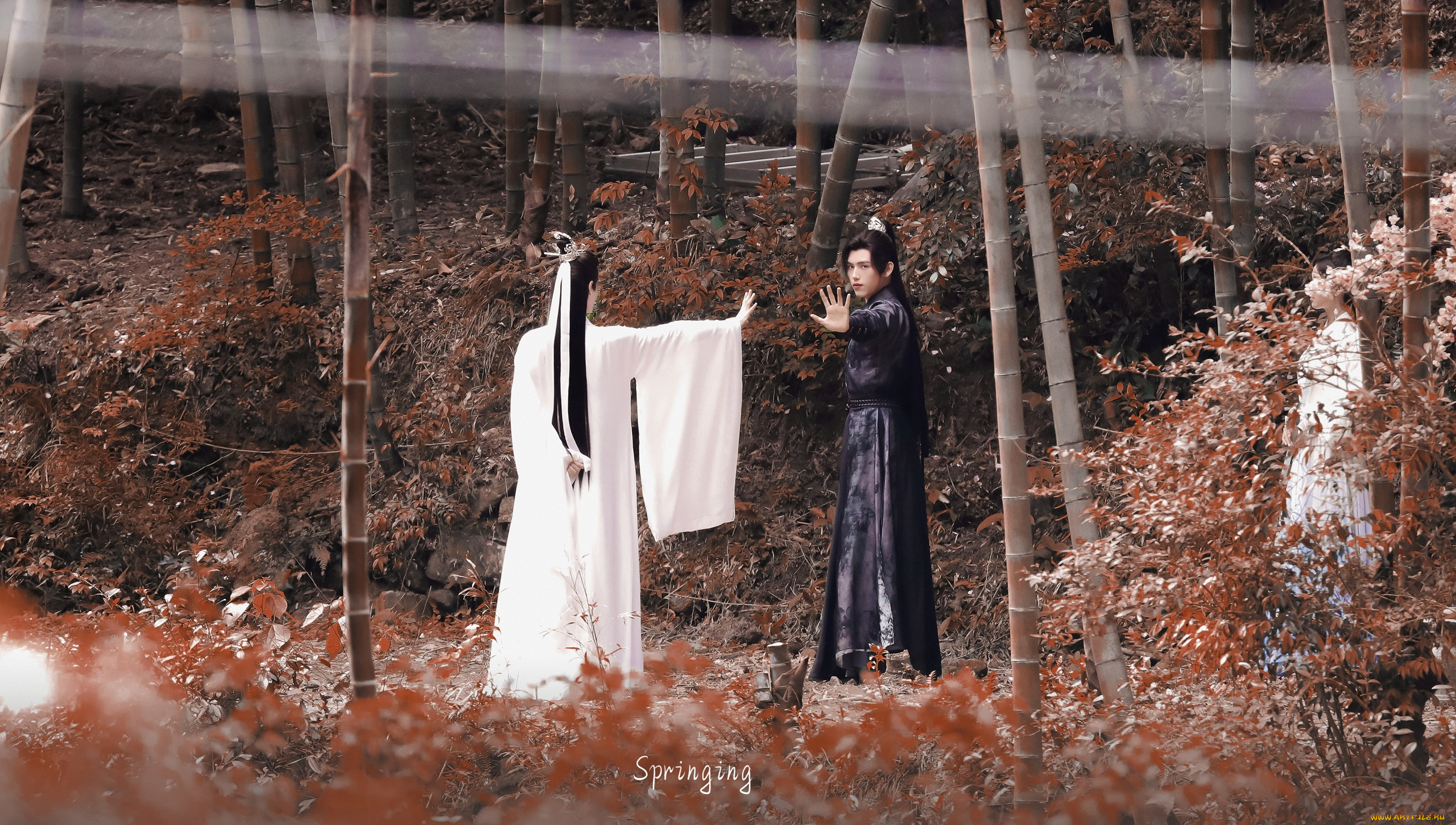 хаски, и, его, учитель, белый, кот, разное, знаменитости, ло, юнси