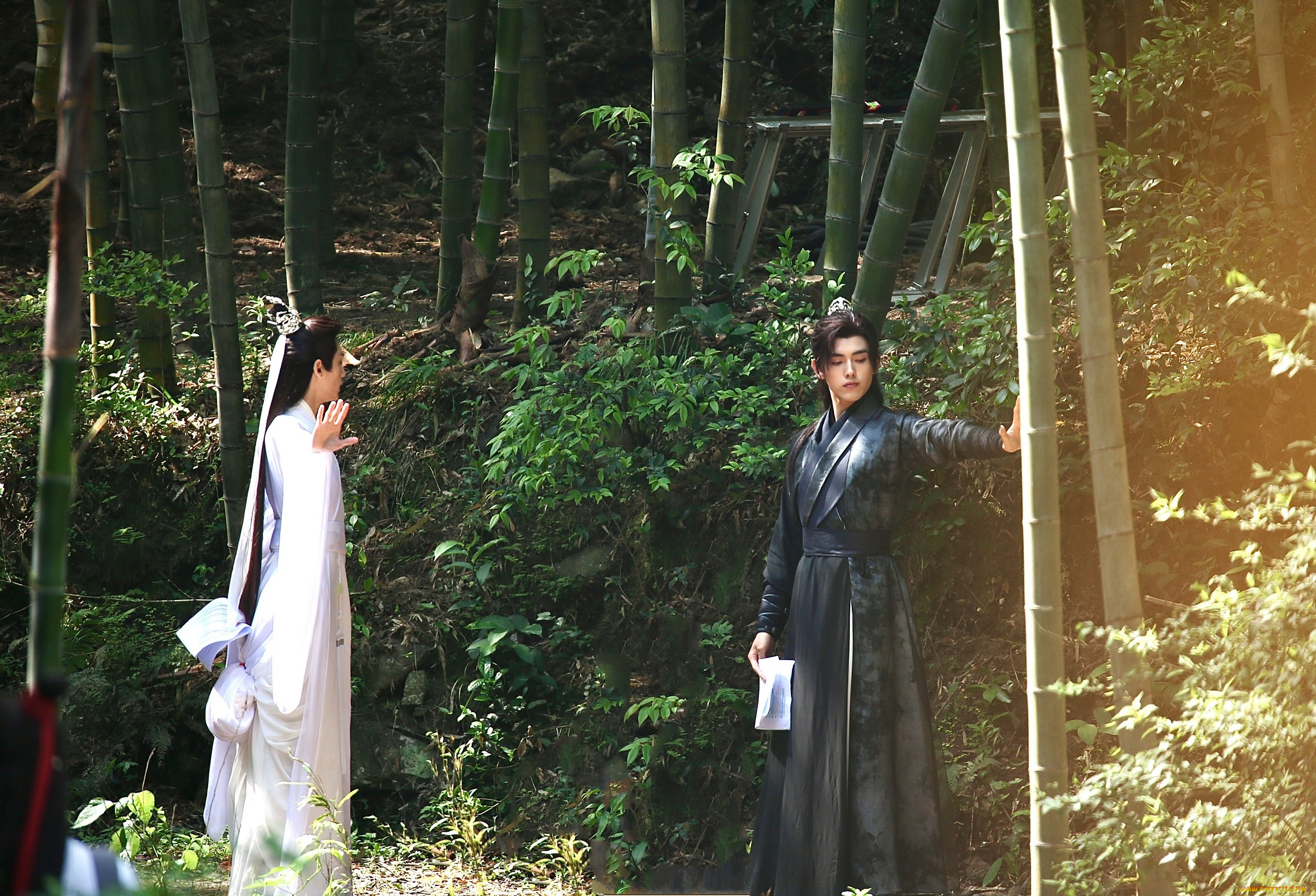 хаски, и, его, учитель, белый, кот, разное, знаменитости, ло, юнси