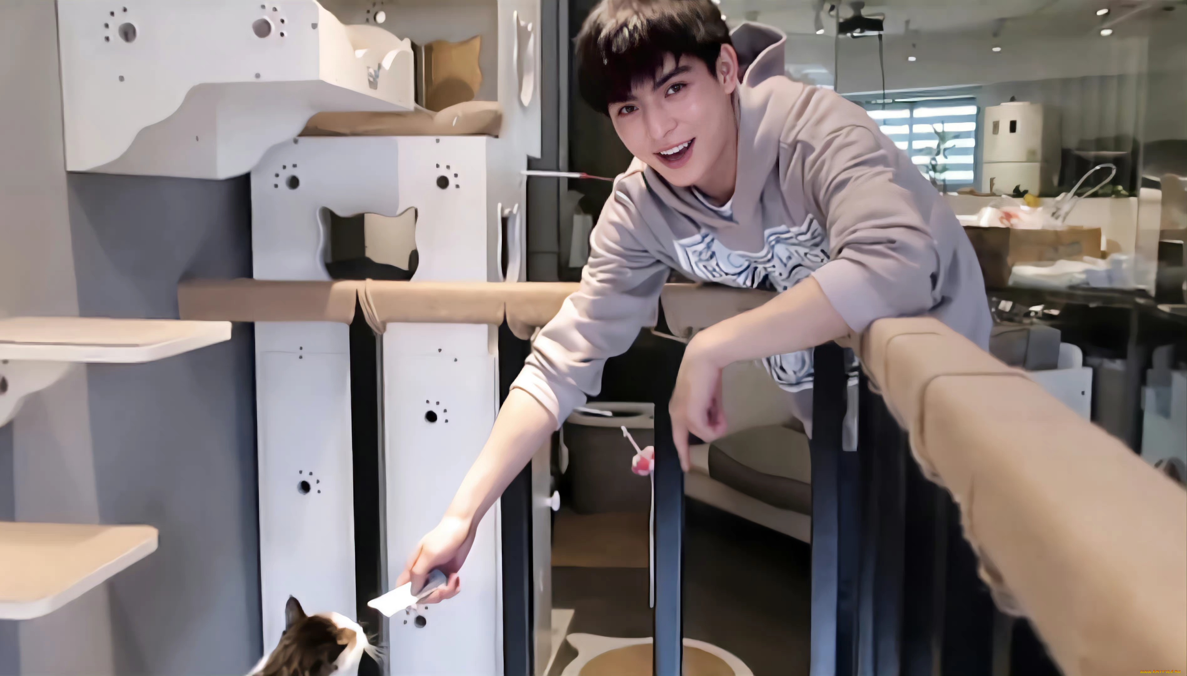 мужчины, wang, hao, xuan, ван, хаосюань, wang, hao, xuan