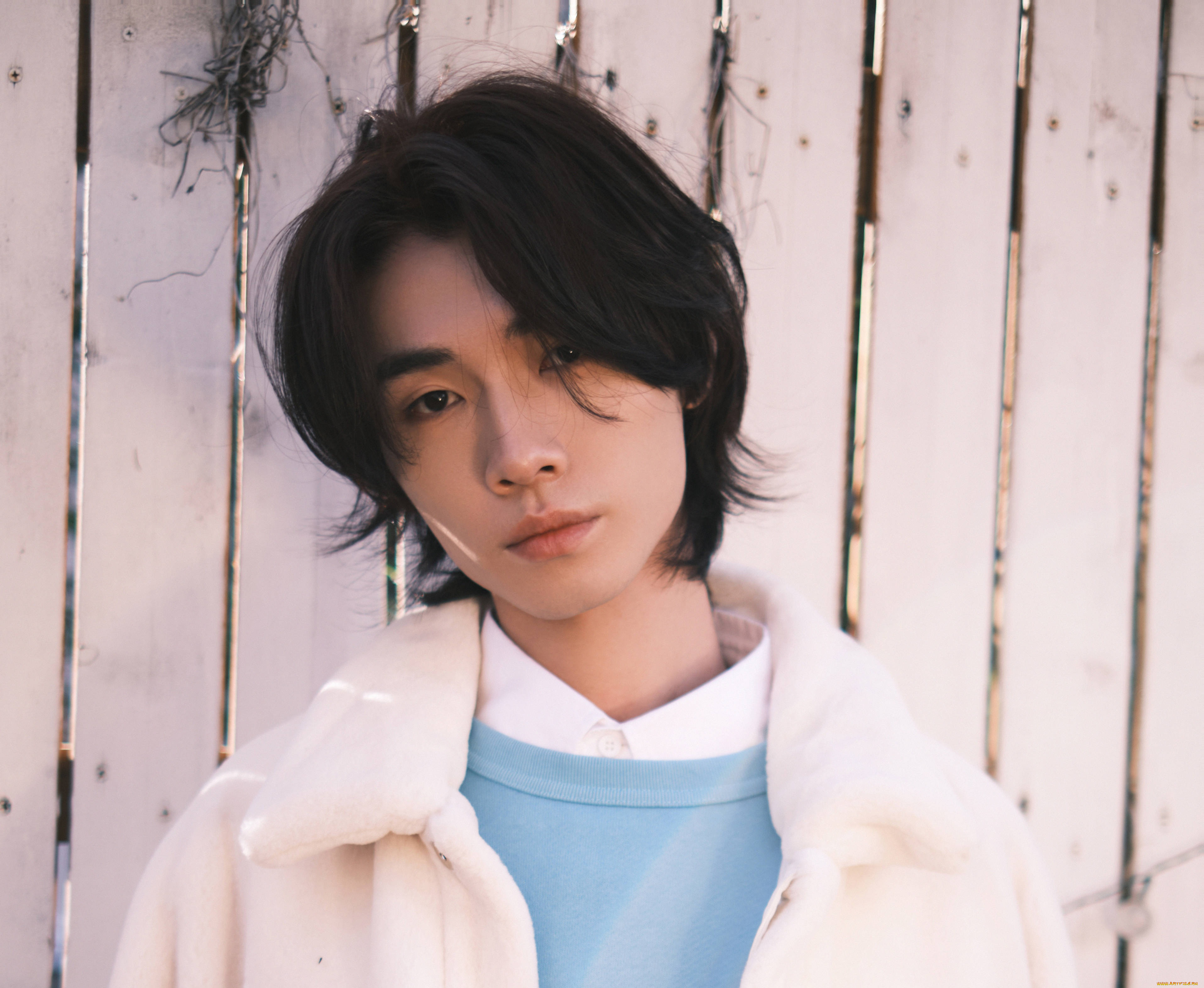 мужчины, song, ji, yang, сун, цзиян, китайский, актёр, певец