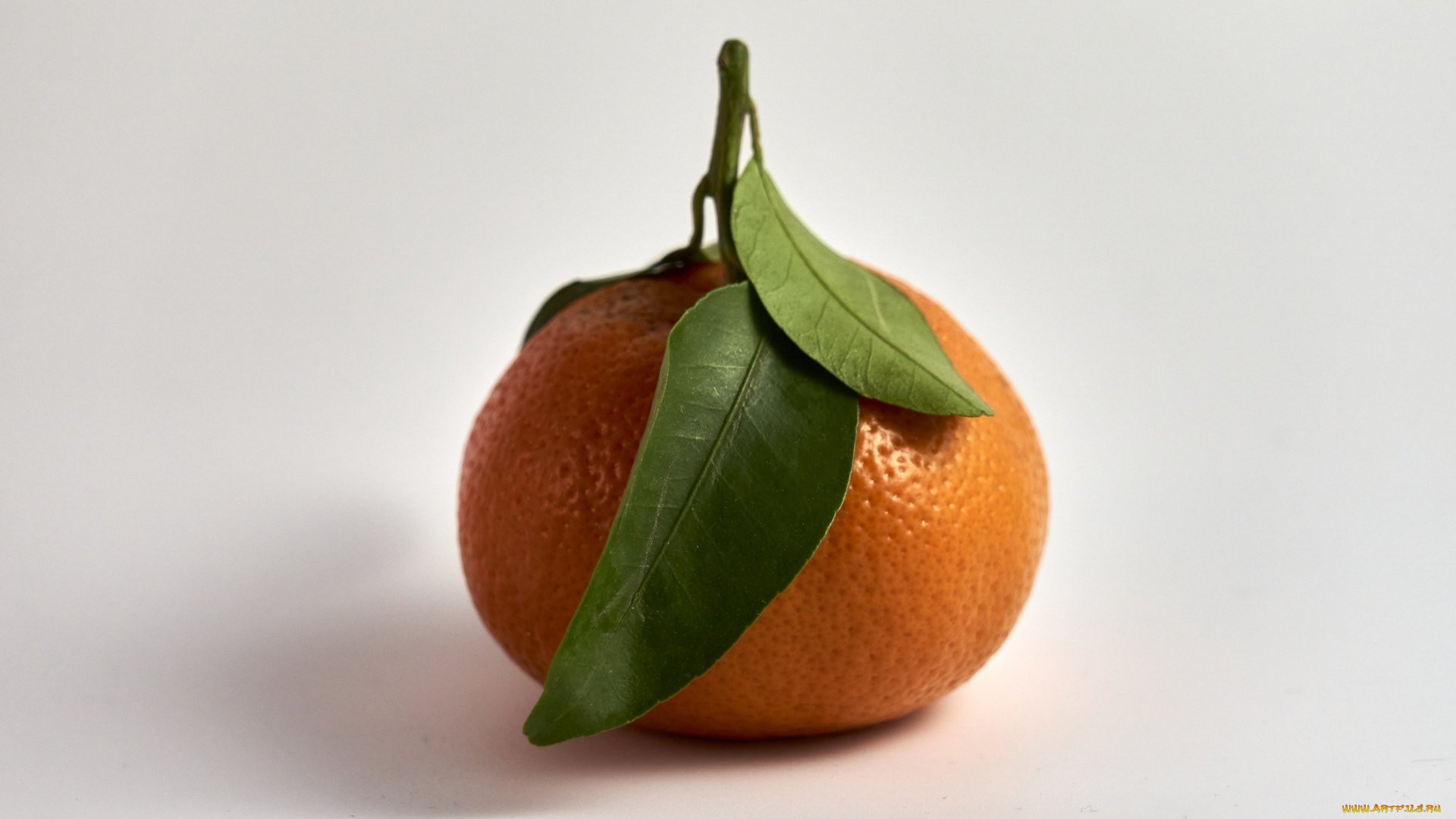 еда, цитрусы, мандарины