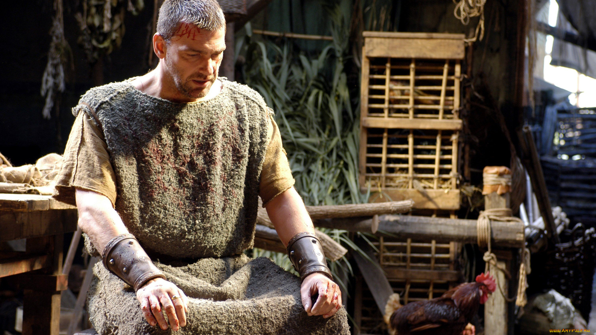 кино, фильмы, rome, мужчина, петух, вещи