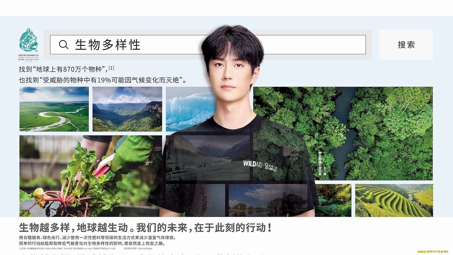 мужчины, wang, yi, bo, актер, футболка, пейзажи