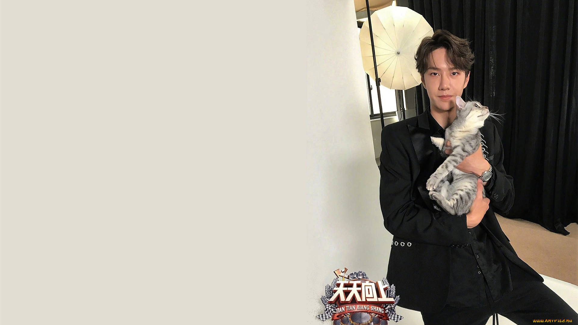 мужчины, wang, yi, bo, актер, костюм, кот