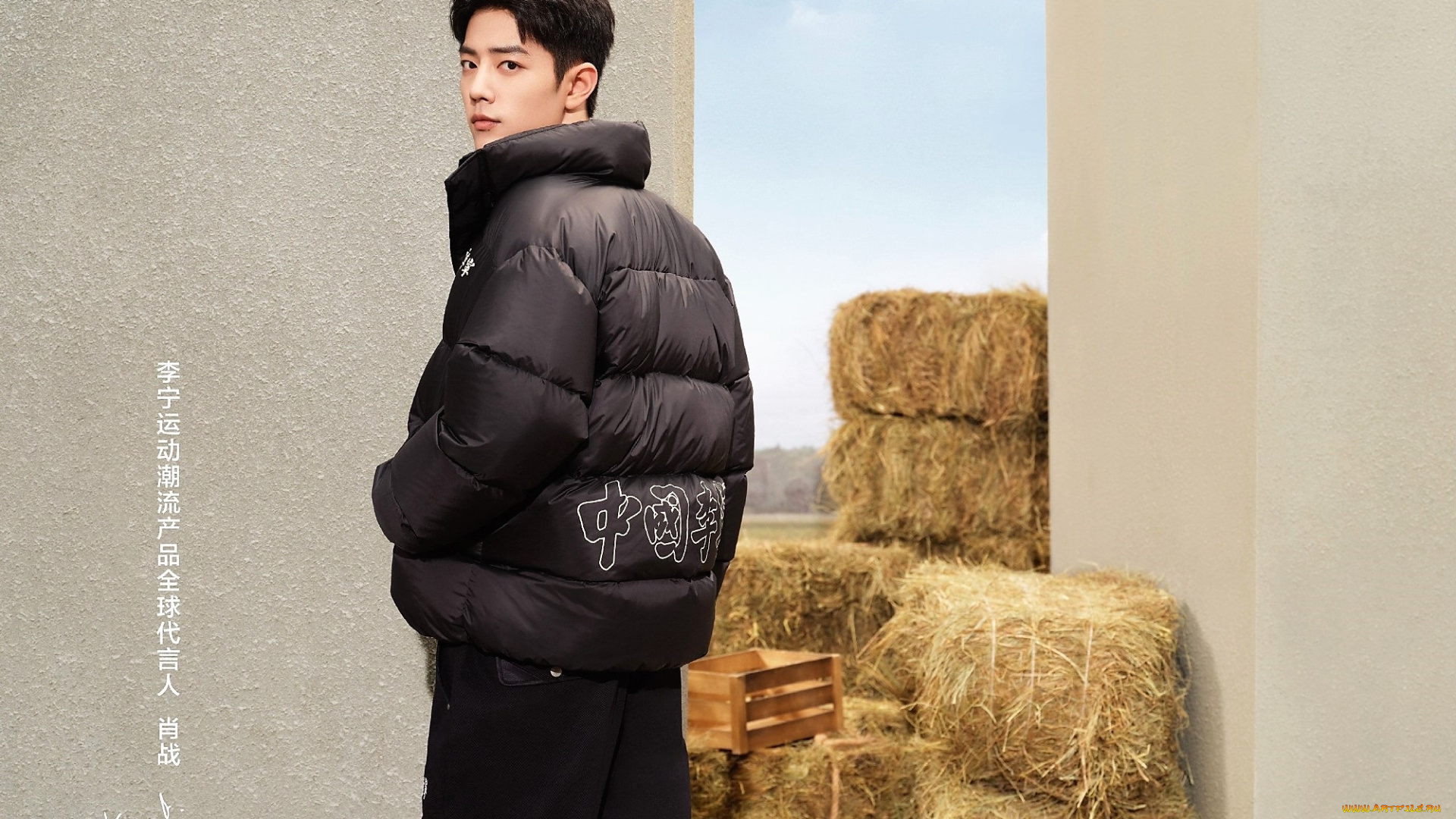 мужчины, xiao, zhan, актер, куртка, сено