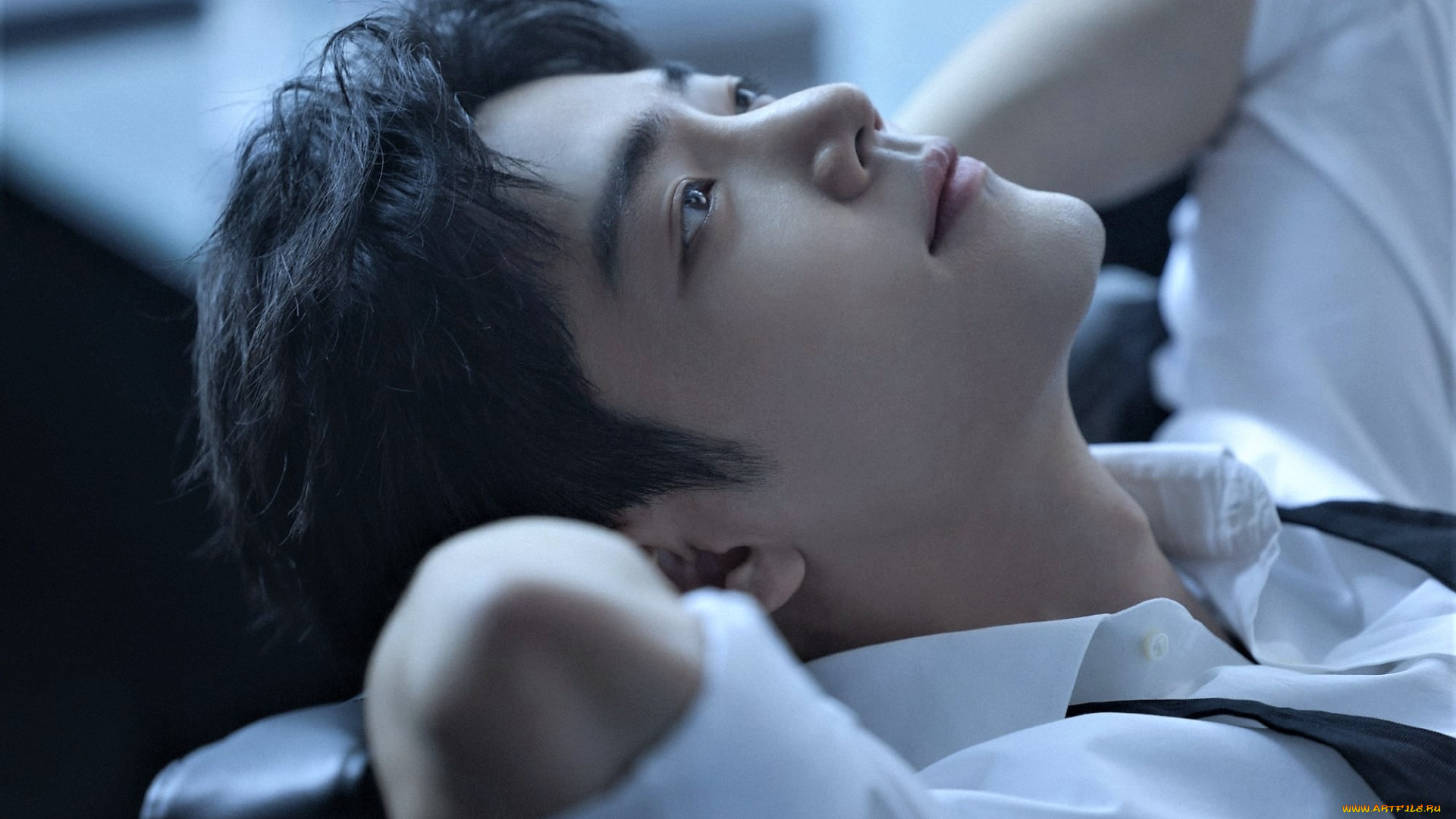 мужчины, xiao, zhan, актер, лицо, рубашка