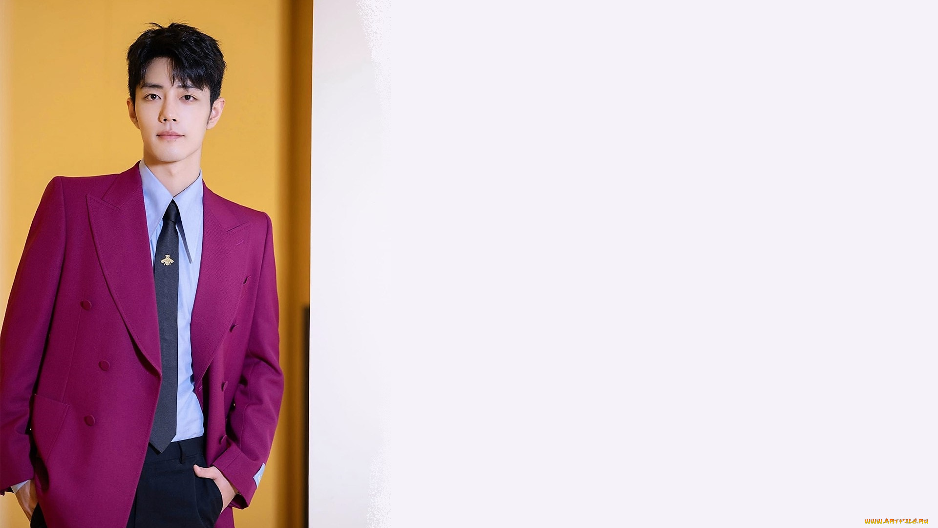 мужчины, xiao, zhan, актер, пиджак, рубашка, галстук