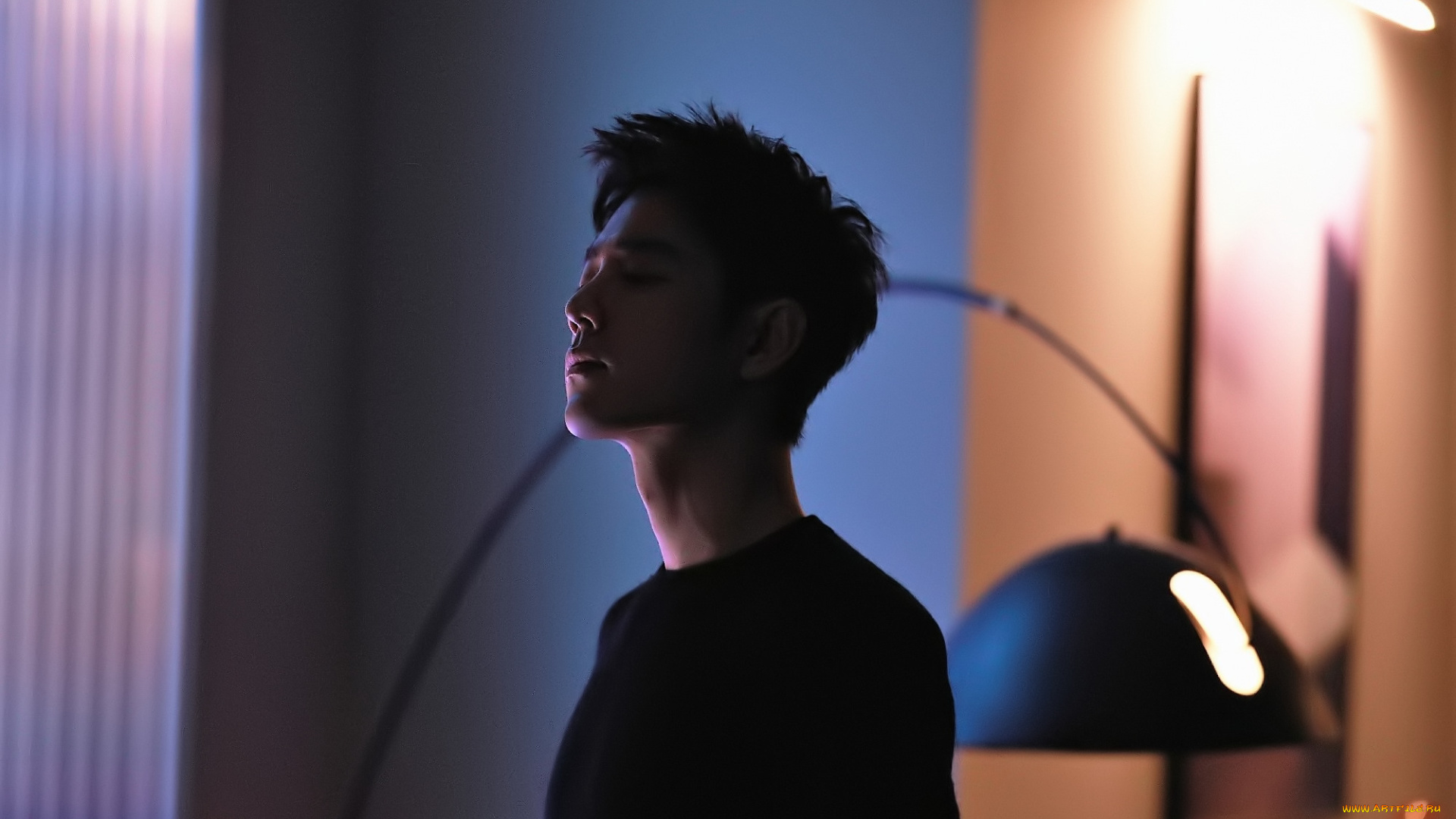 мужчины, xiao, zhan, актер, свитер, свет