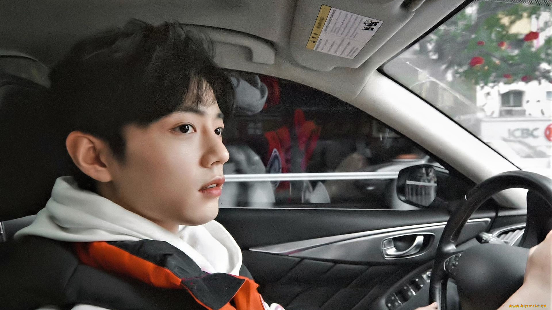 мужчины, xiao, zhan, сяо, чжань, лицо, машина