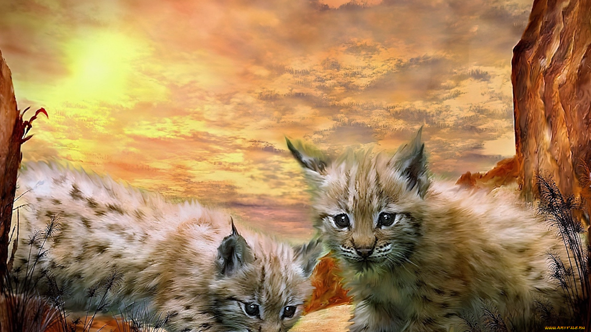 рисованное, животные, , рыси, рысята, скалы