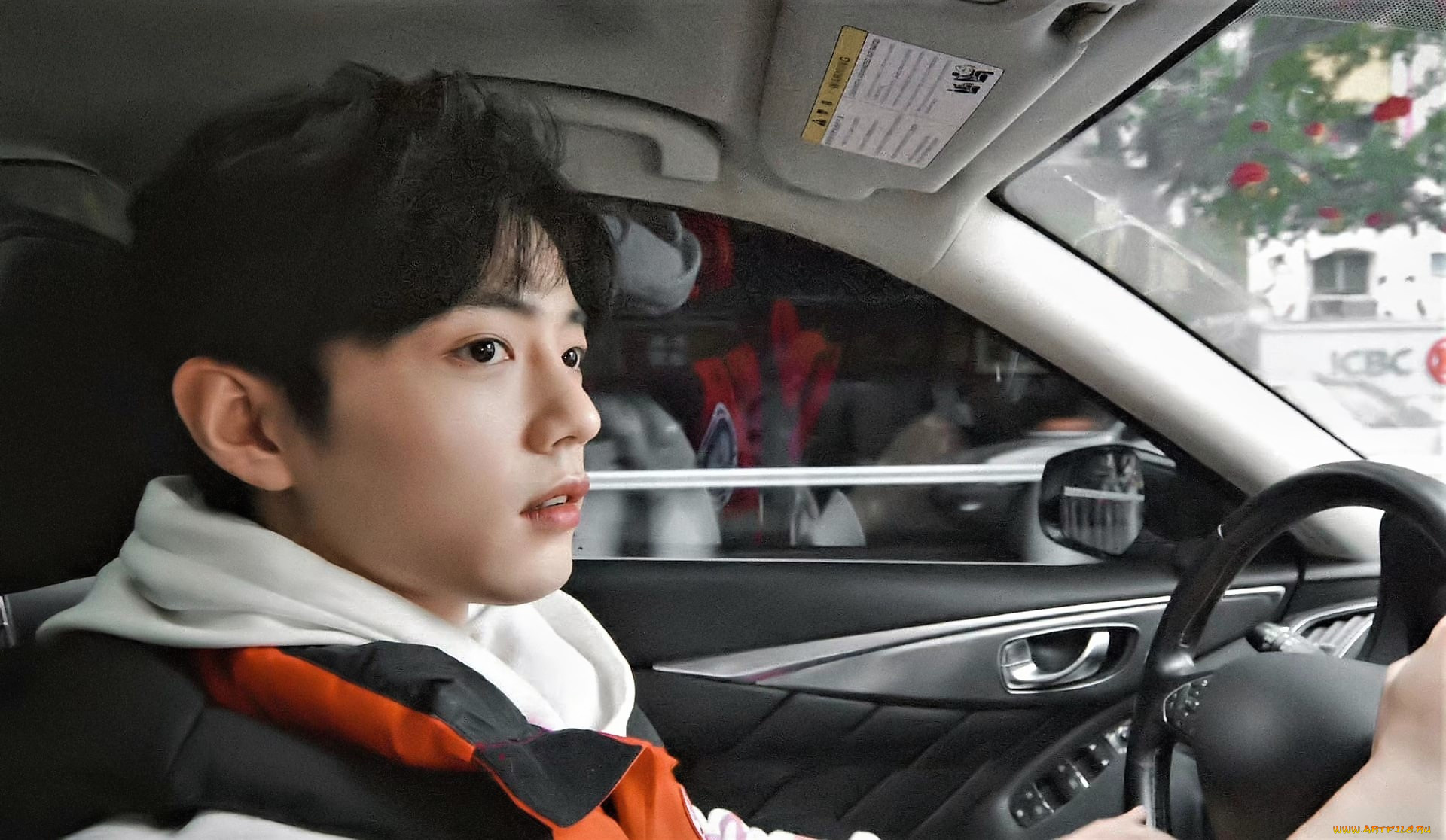 мужчины, xiao, zhan, сяо, чжань, лицо, машина