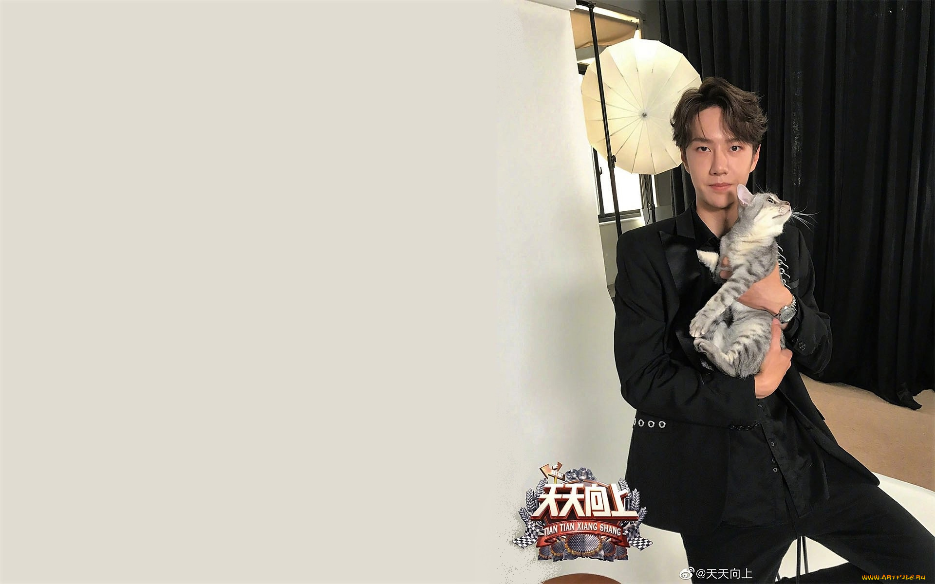 мужчины, wang, yi, bo, актер, костюм, кот