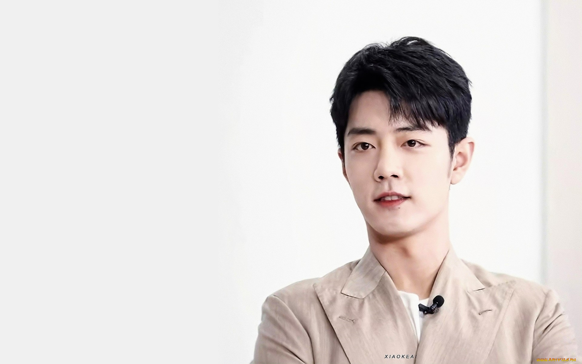 мужчины, xiao, zhan, актер, лицо, пиджак