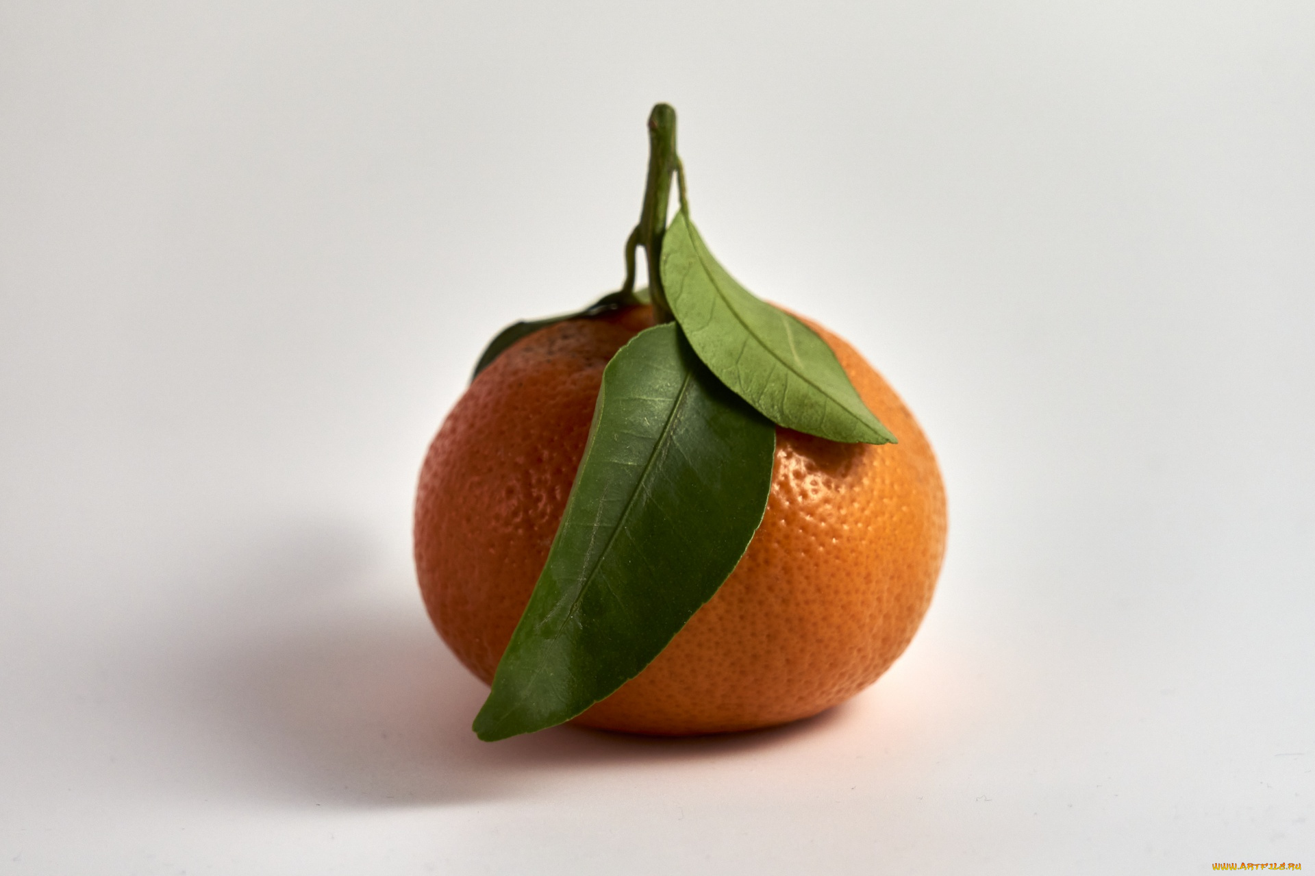 еда, цитрусы, мандарины