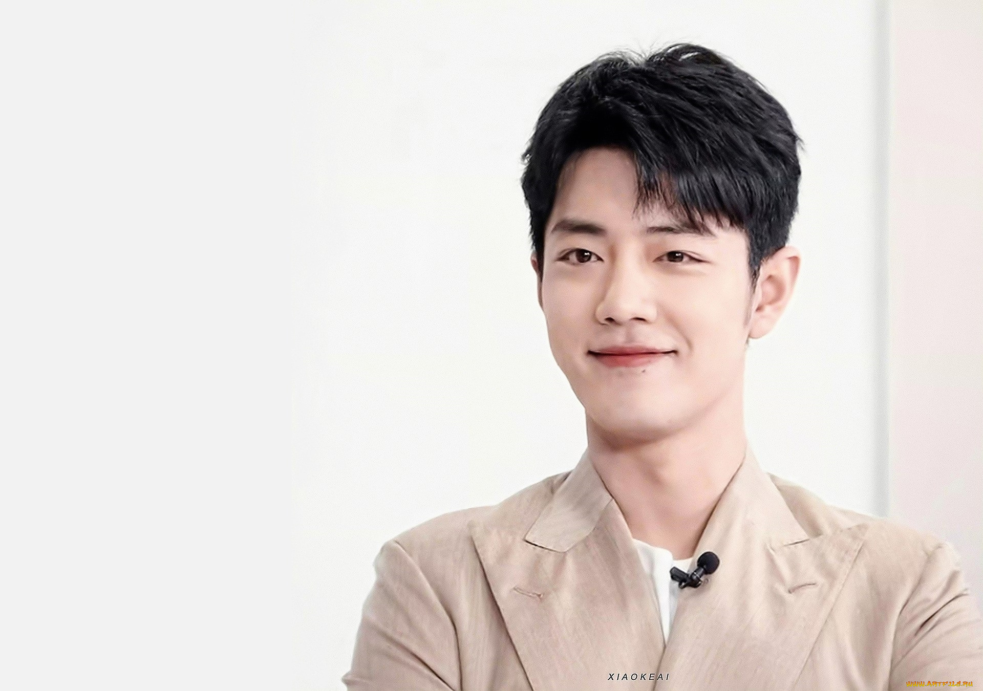 мужчины, xiao, zhan, актер, лицо, пиджак
