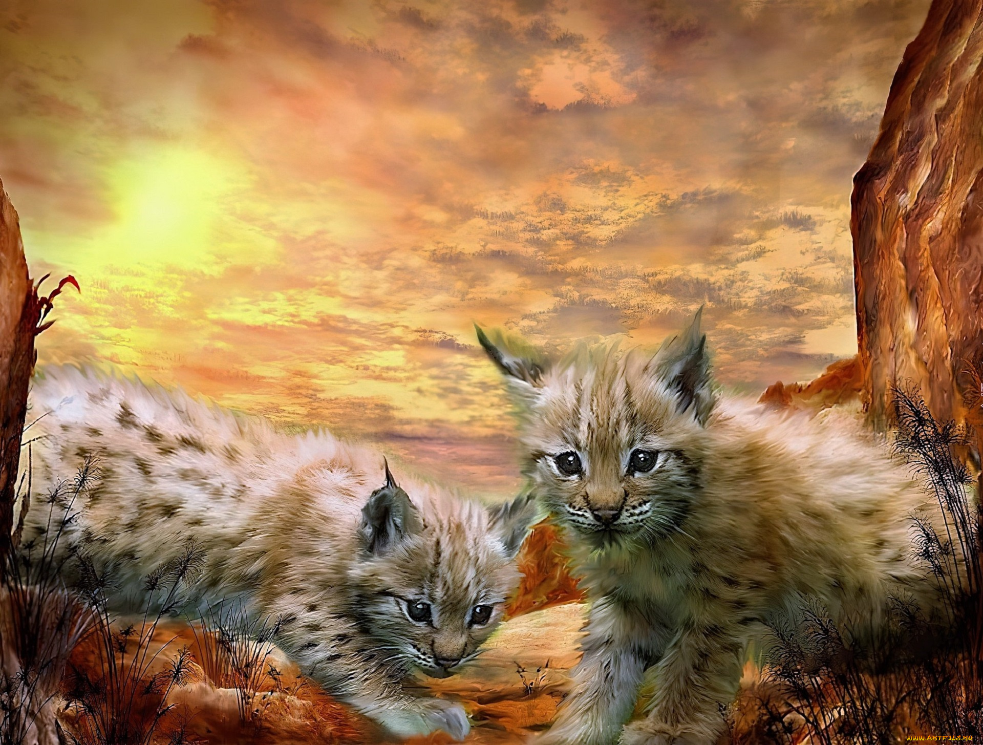 рисованное, животные, , рыси, рысята, скалы