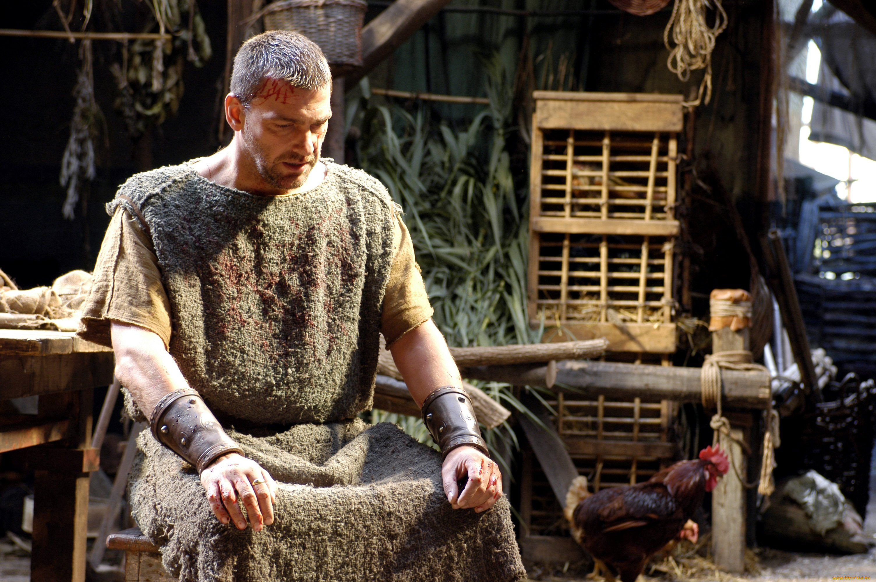 кино, фильмы, rome, мужчина, петух, вещи