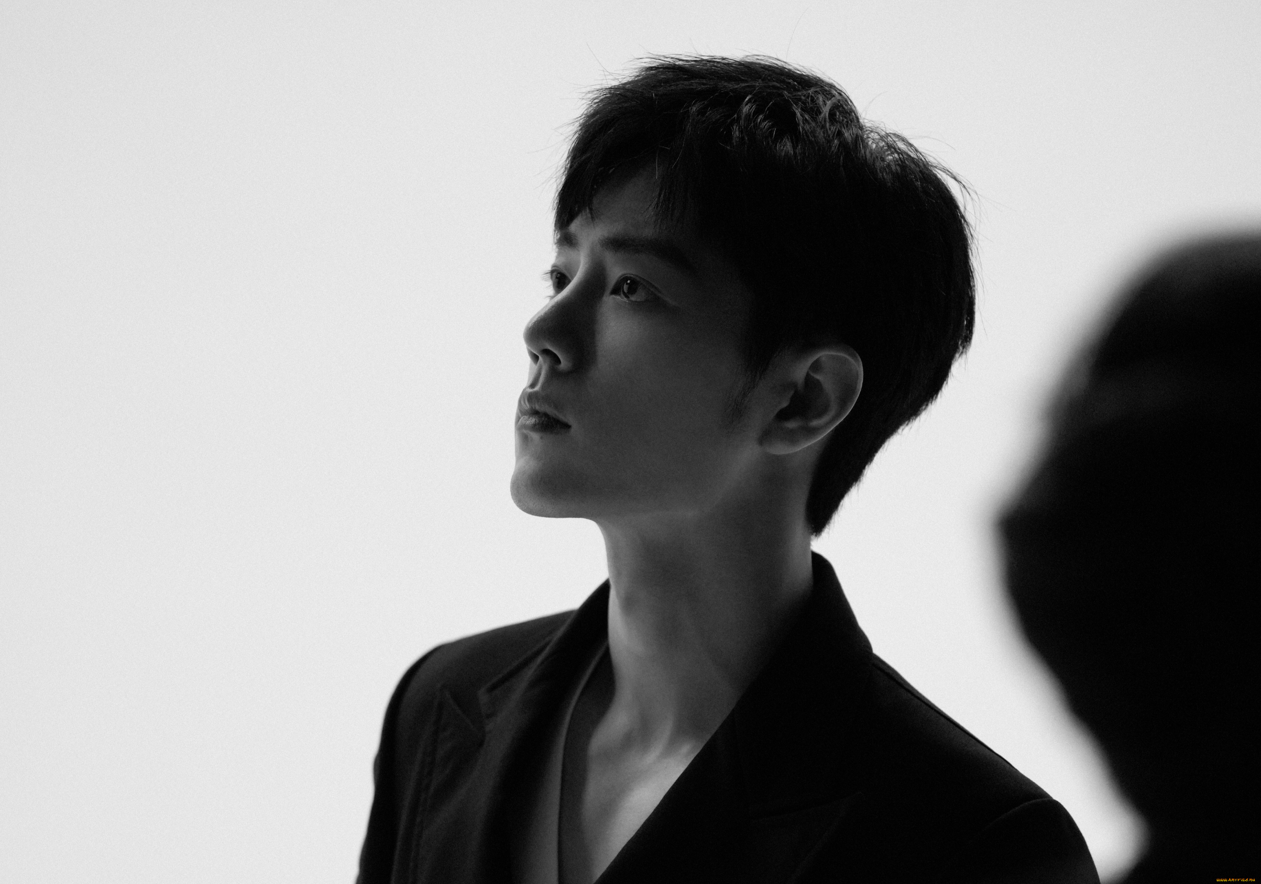 мужчины, xiao, zhan, сяо, чжань