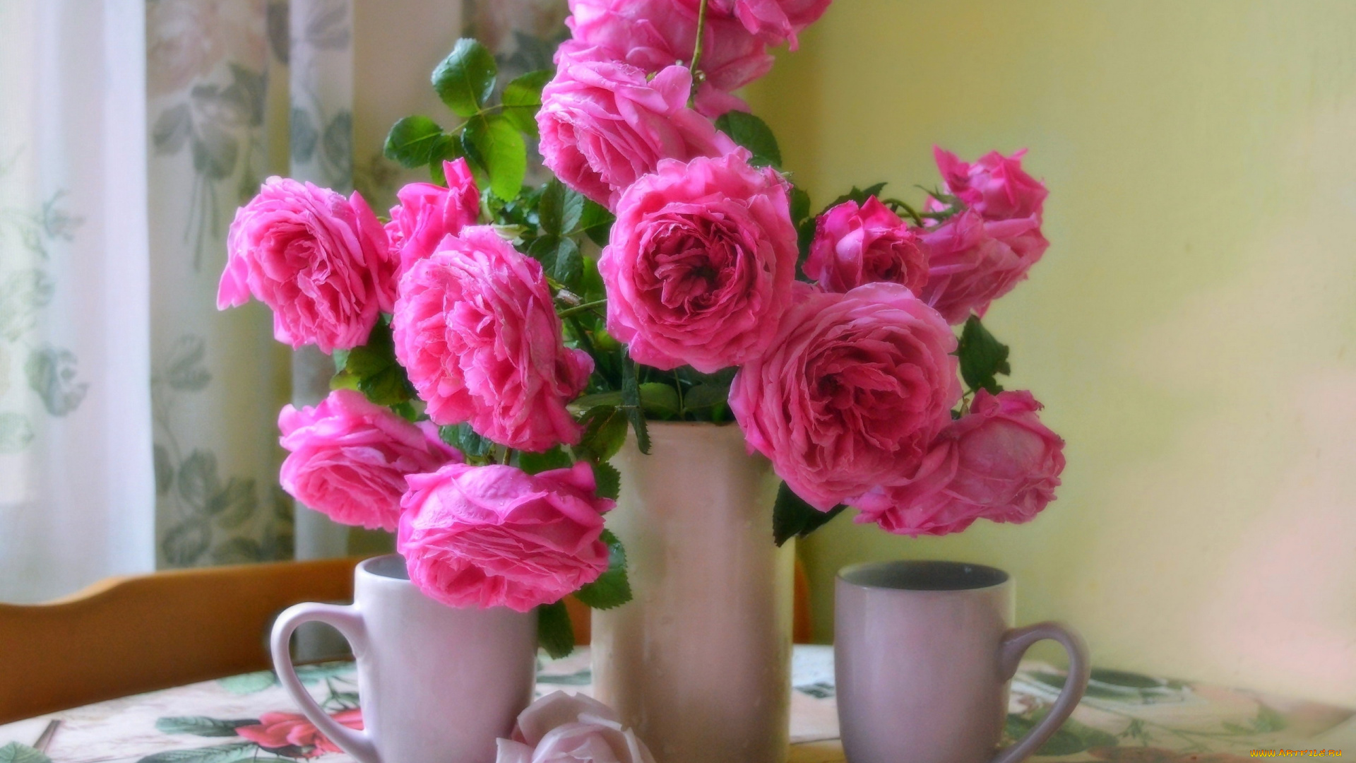 цветы, розы, розовые, букет