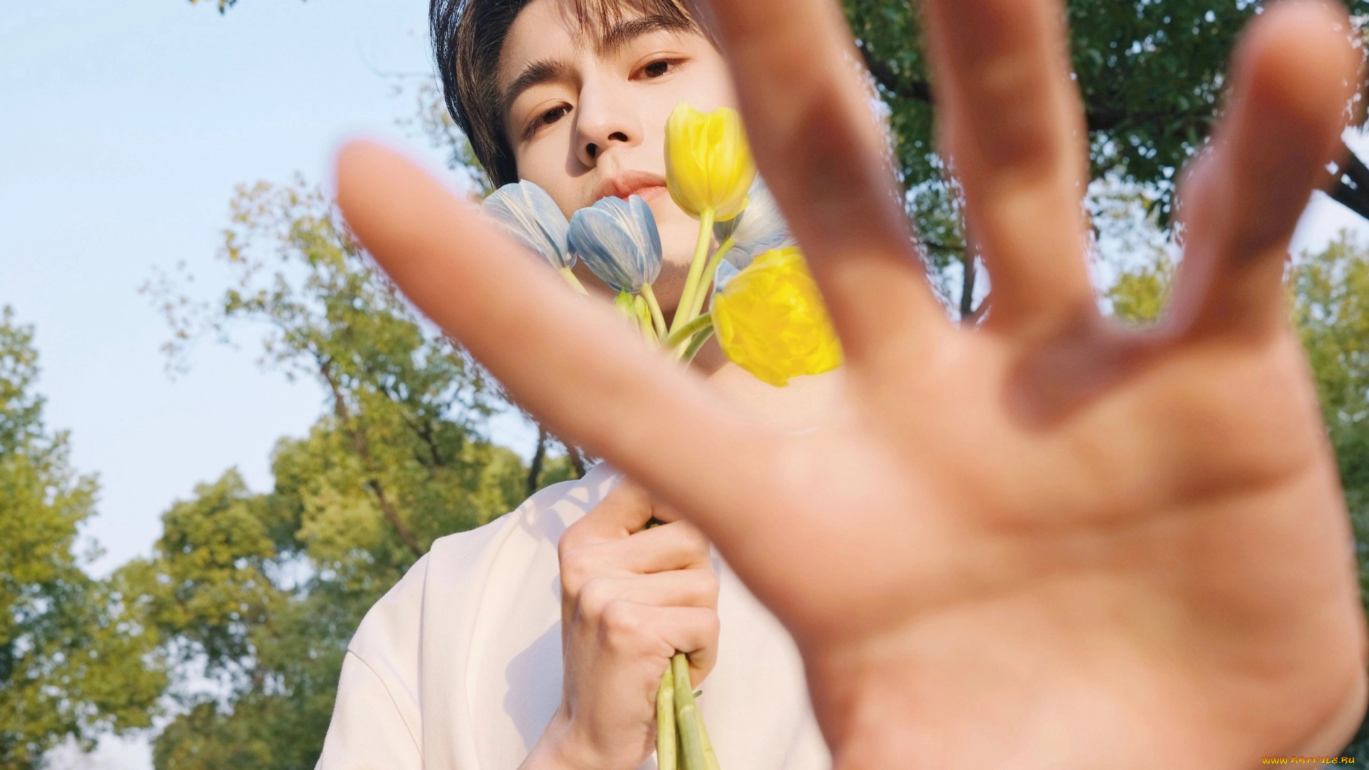 мужчины, zhang, ling, he, чжан, лин, хэ