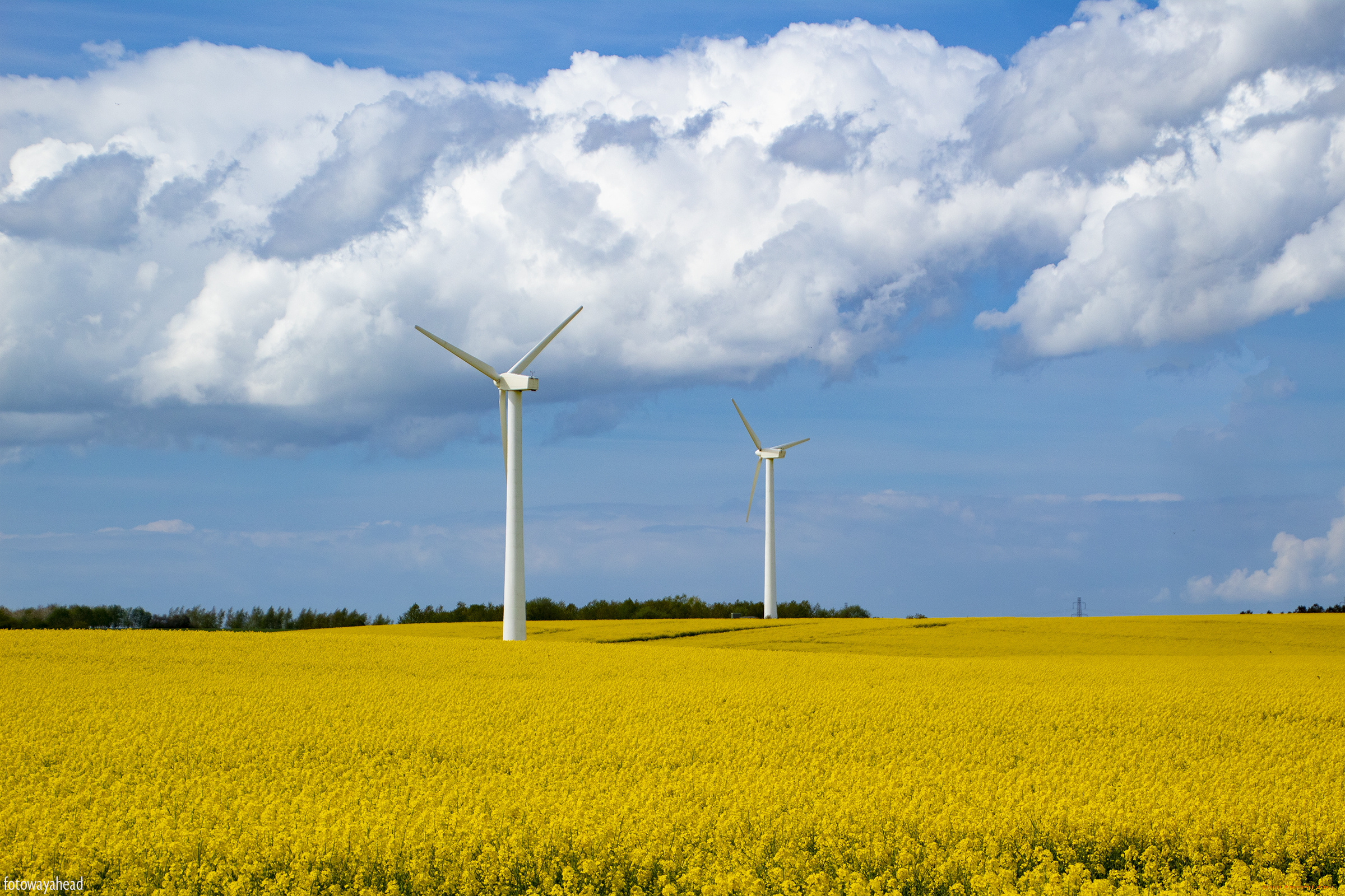 разное, ветрогенераторы, поле