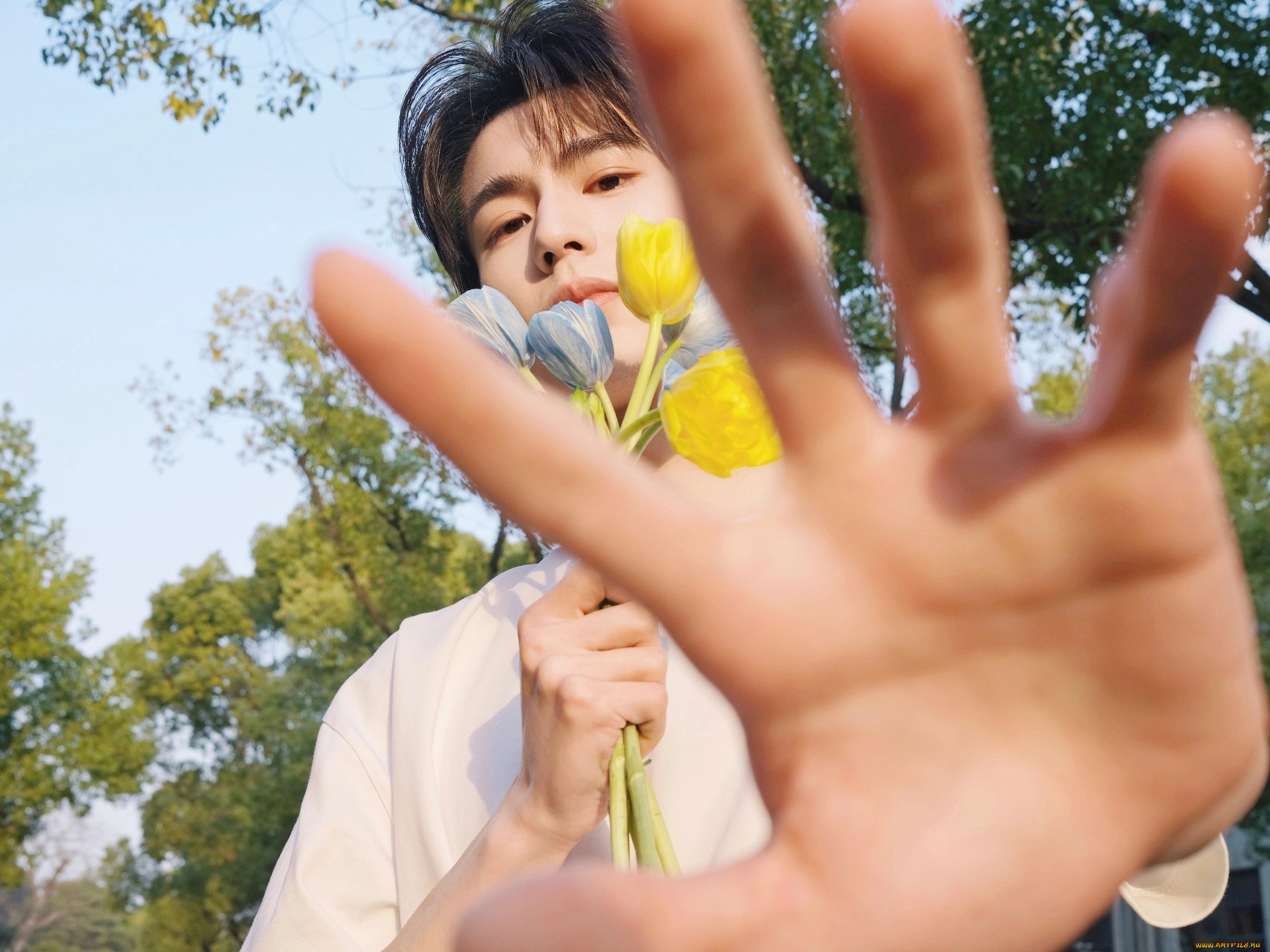 мужчины, zhang, ling, he, чжан, лин, хэ