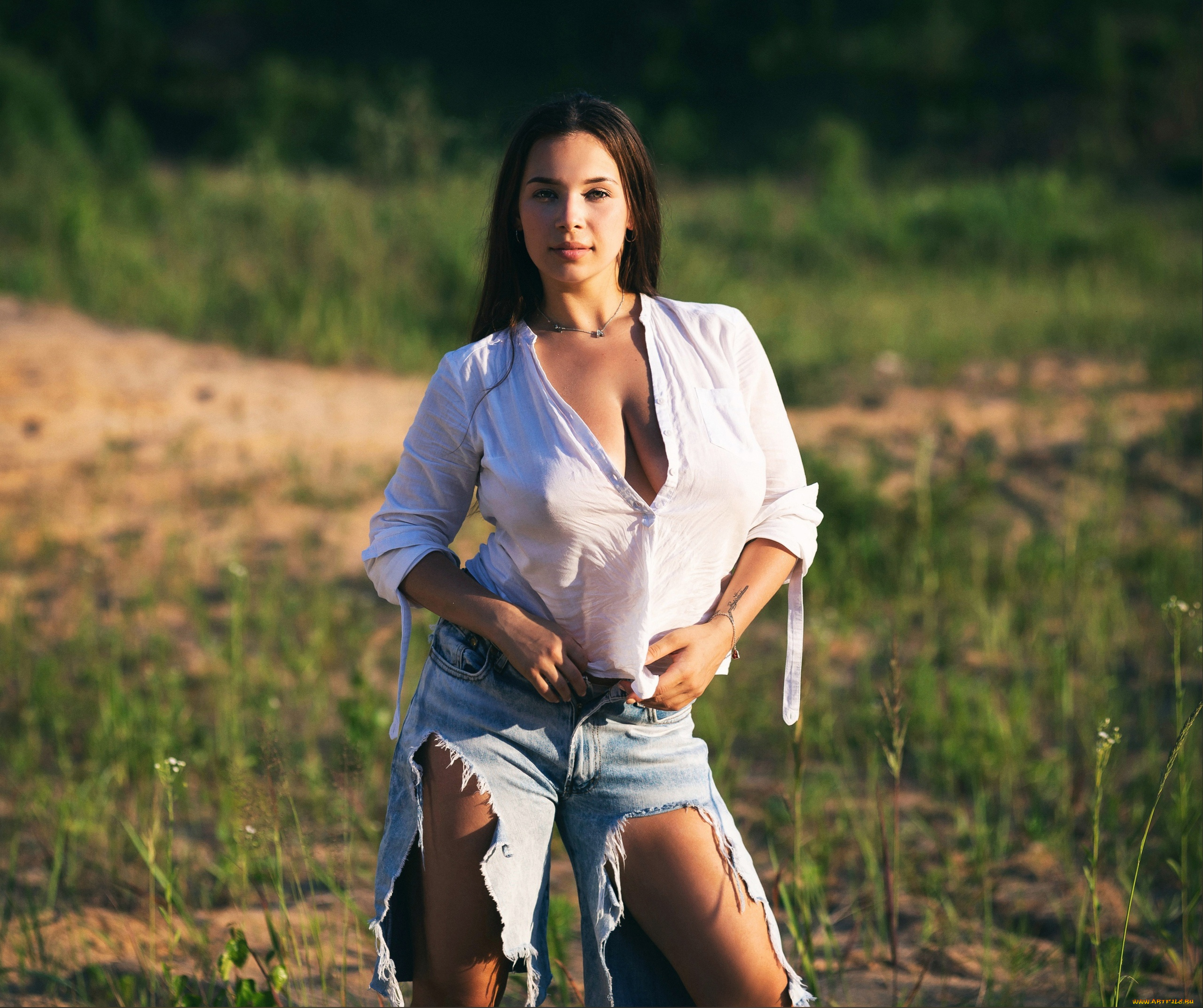 девушки, -, брюнетки, , шатенки, девушка, позирует