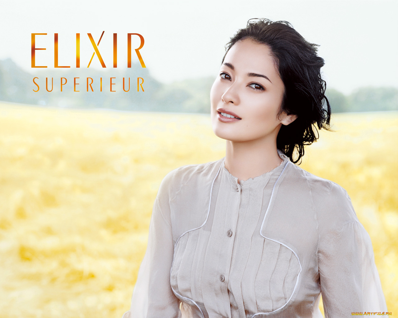 бренды, elixir, superieur