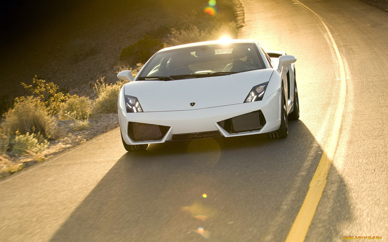 автомобили, lamborghini