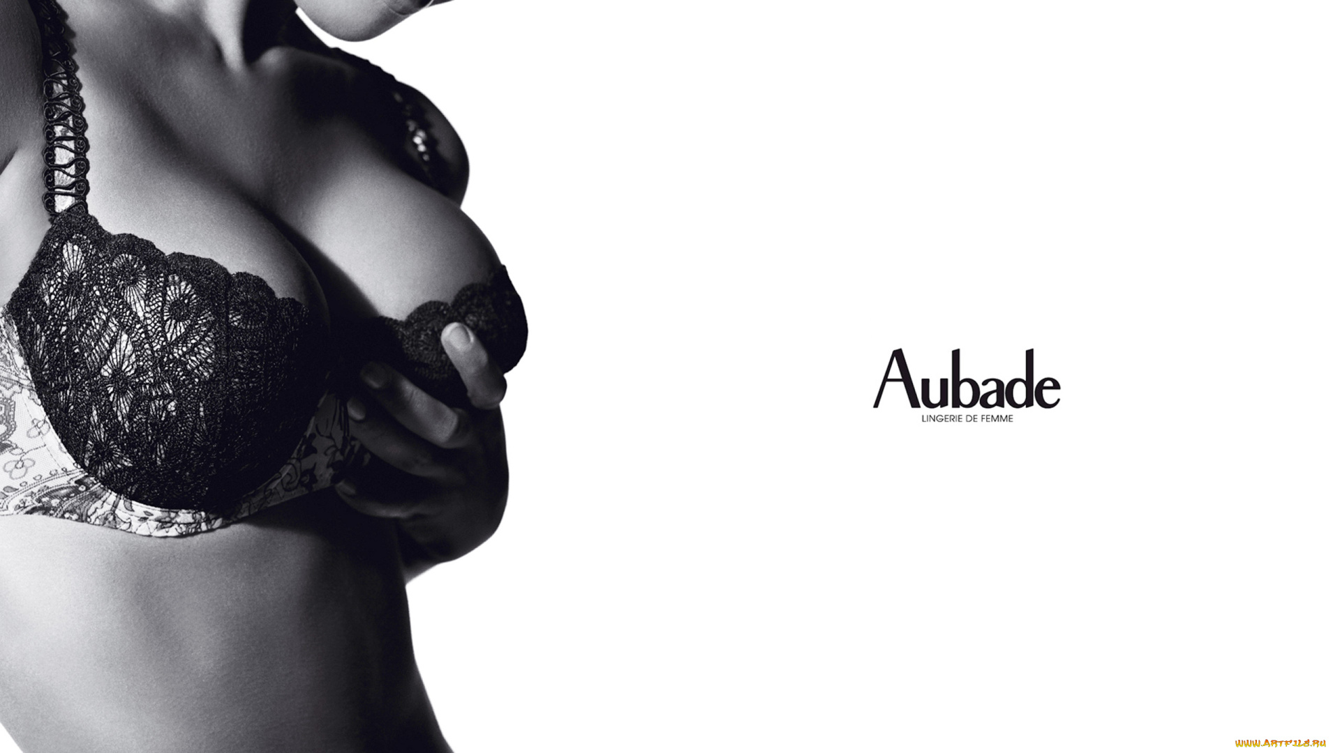 бренды, aubade