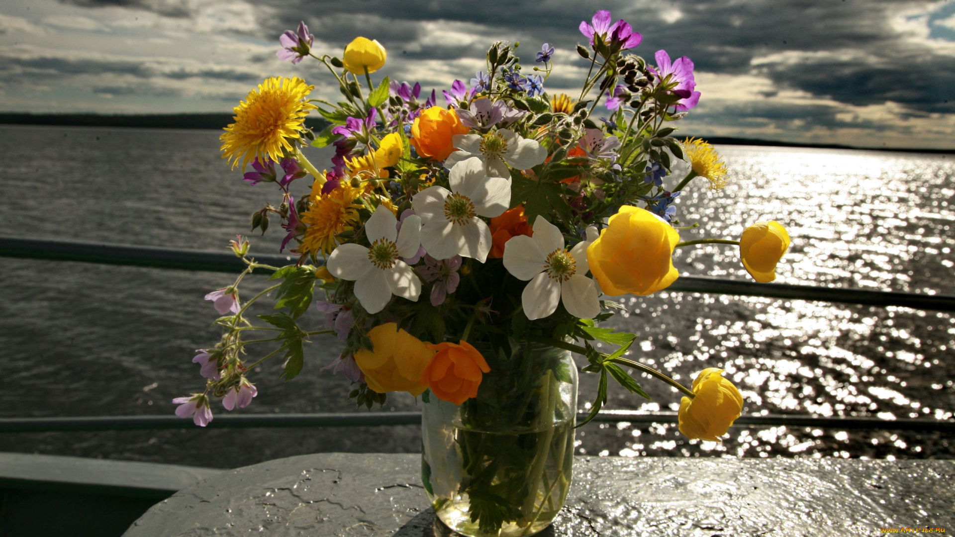 цветы, букеты, композиции