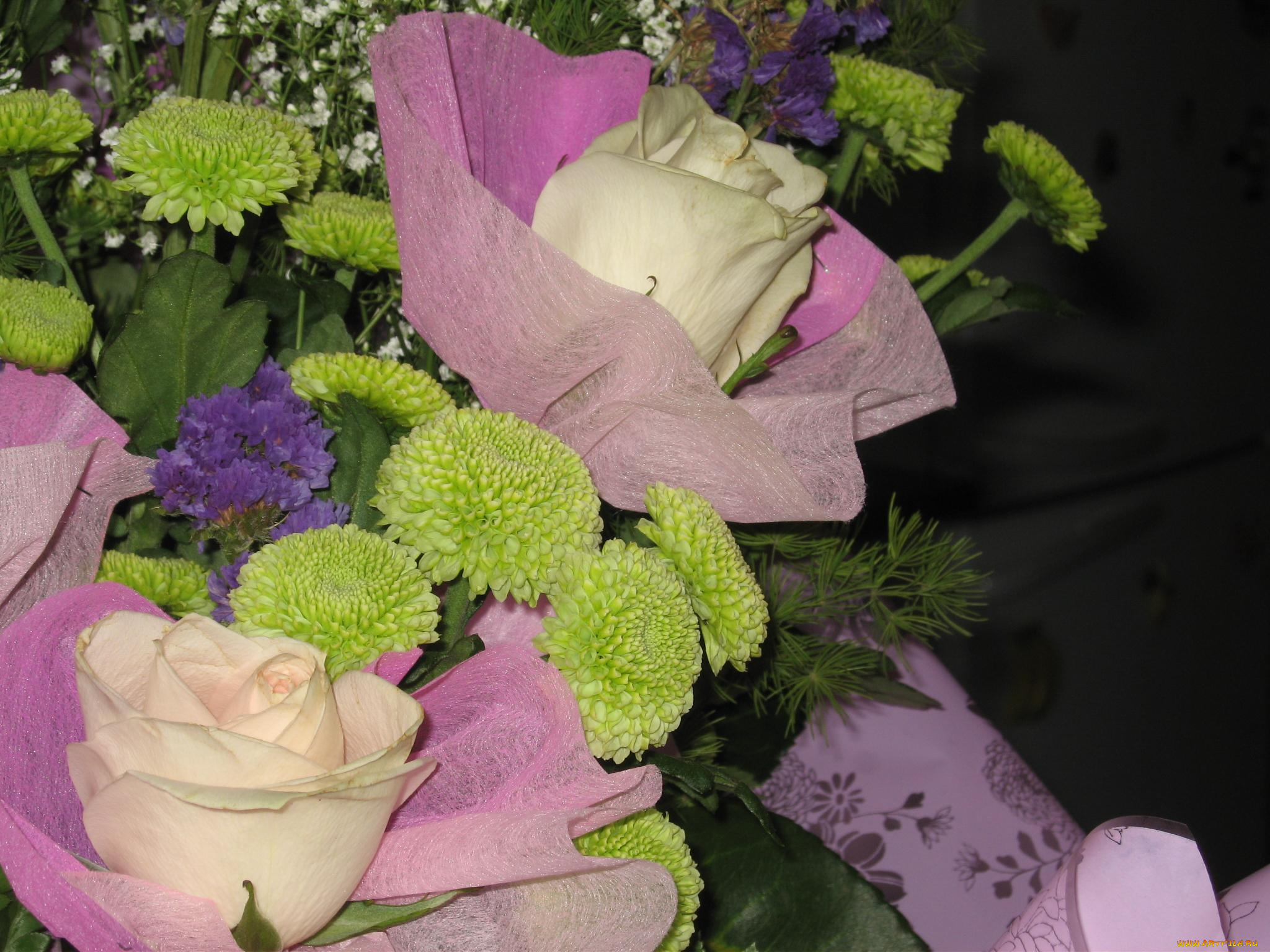 цветы, букеты, композиции