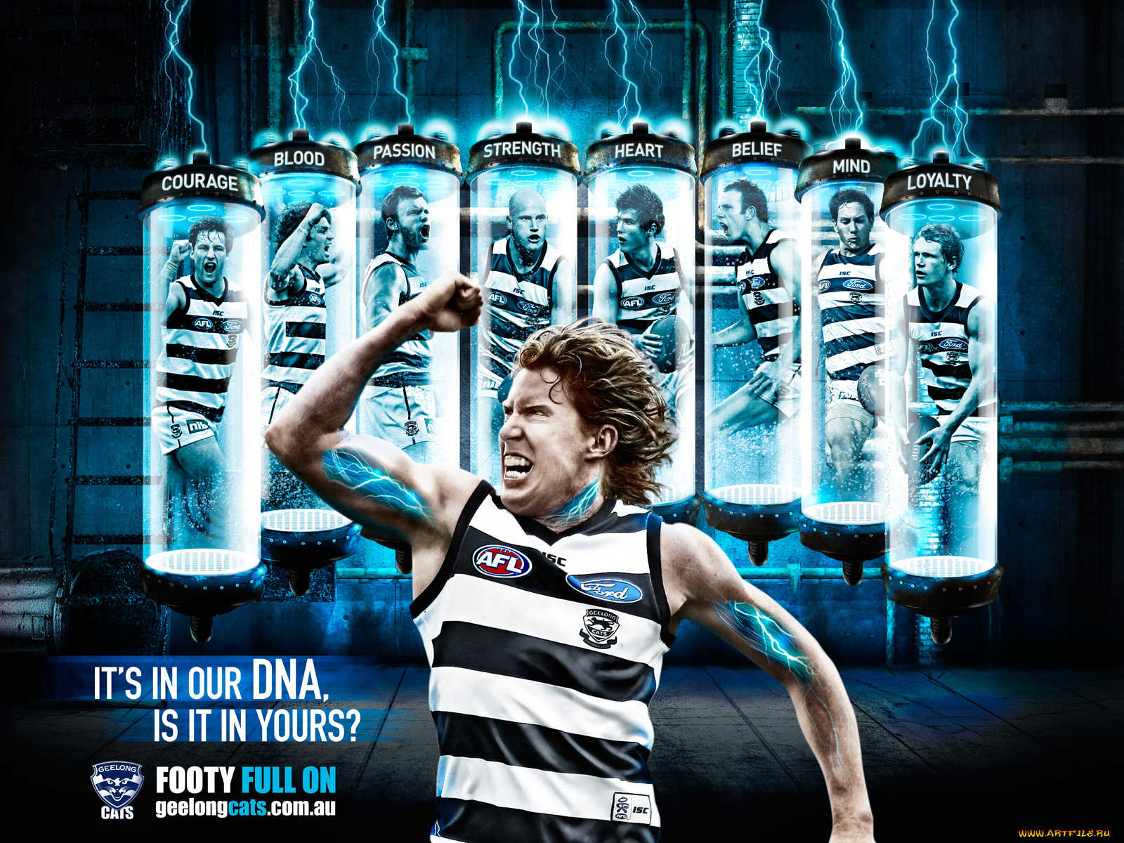 спорт, футбол