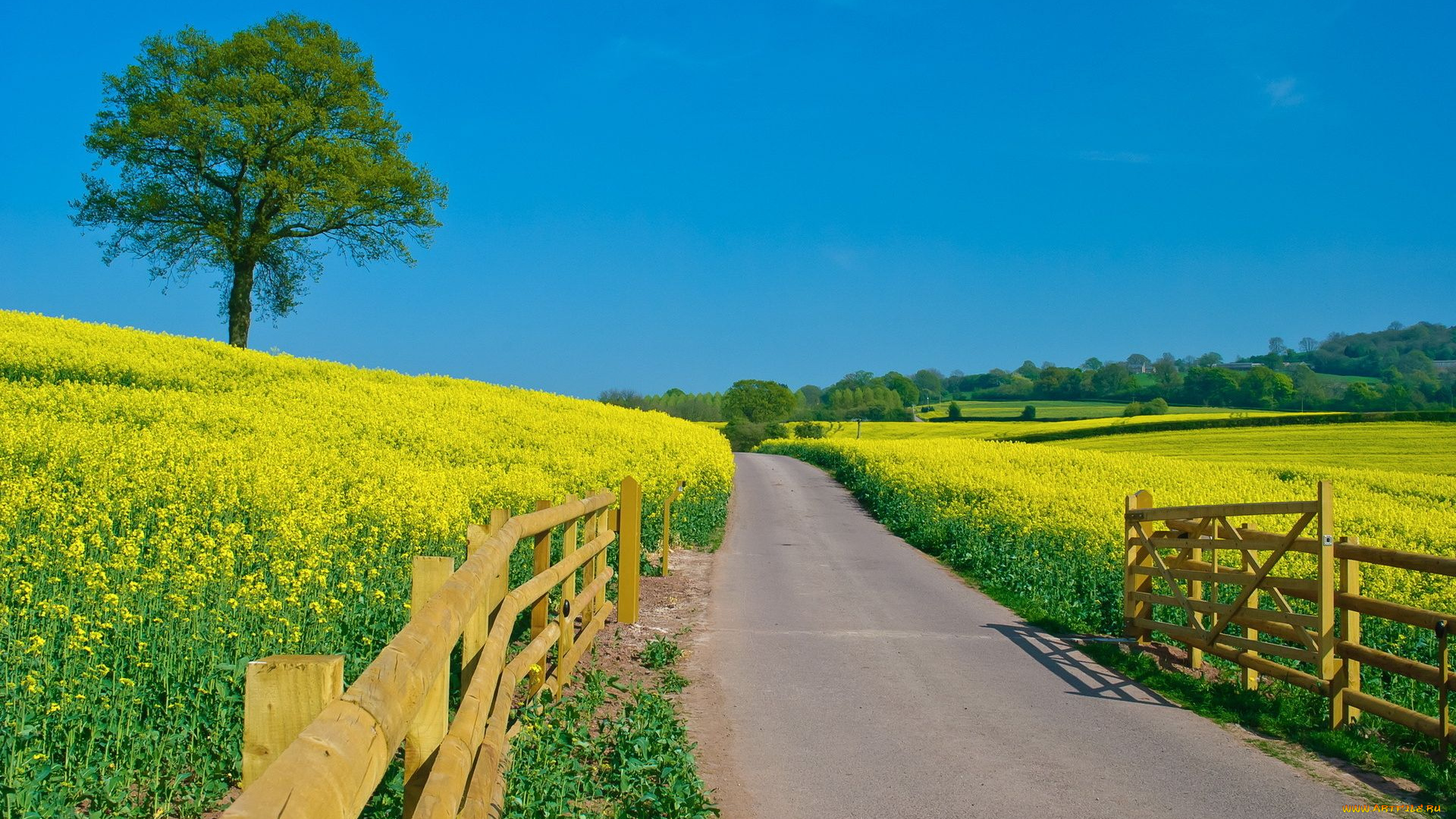 природа, дороги