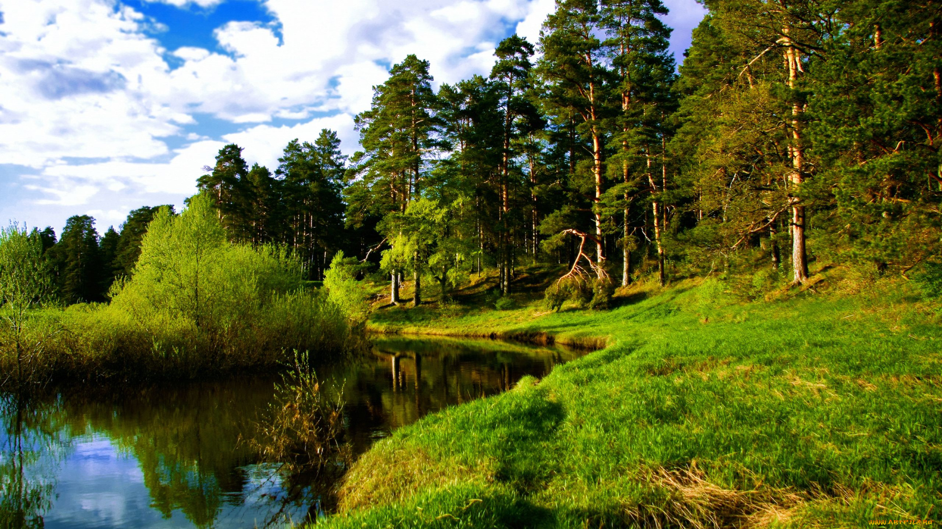 природа, реки, озера