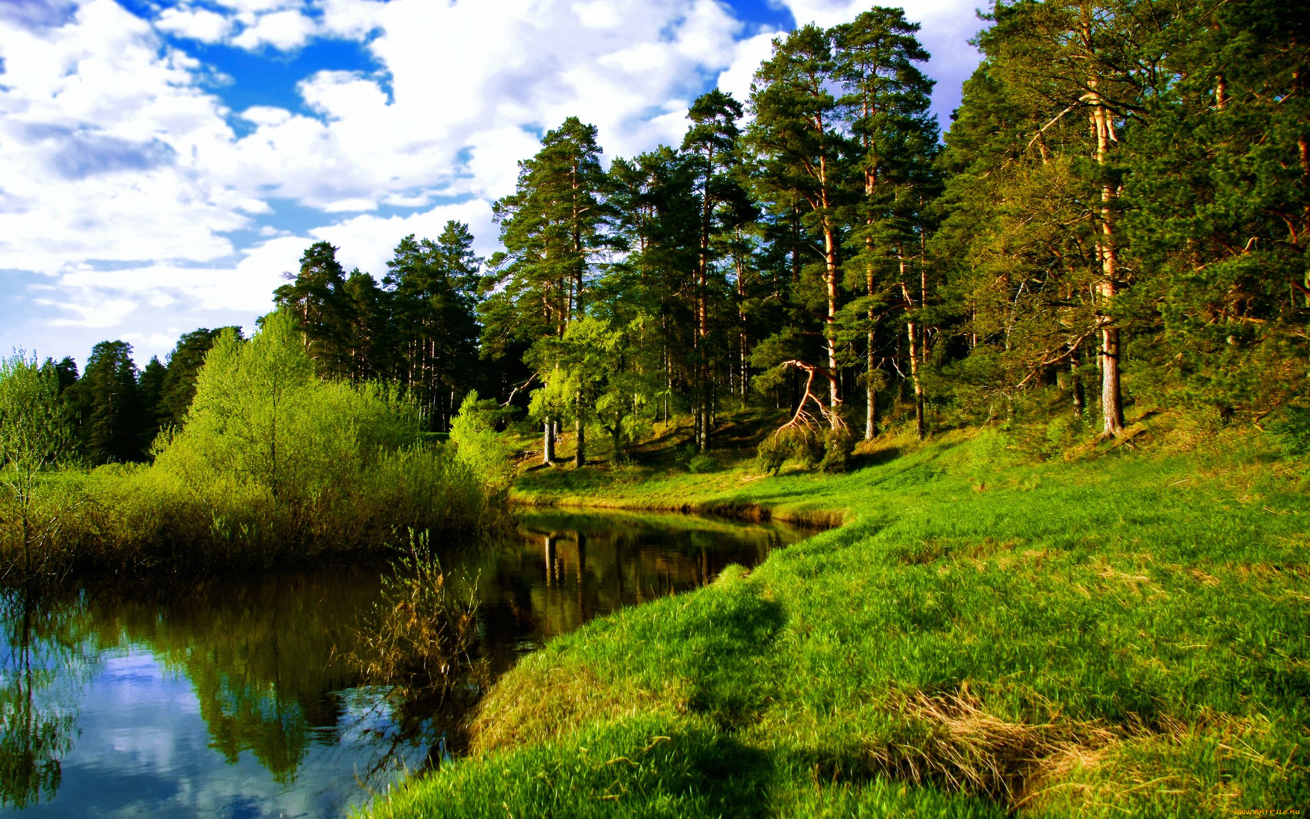 природа, реки, озера