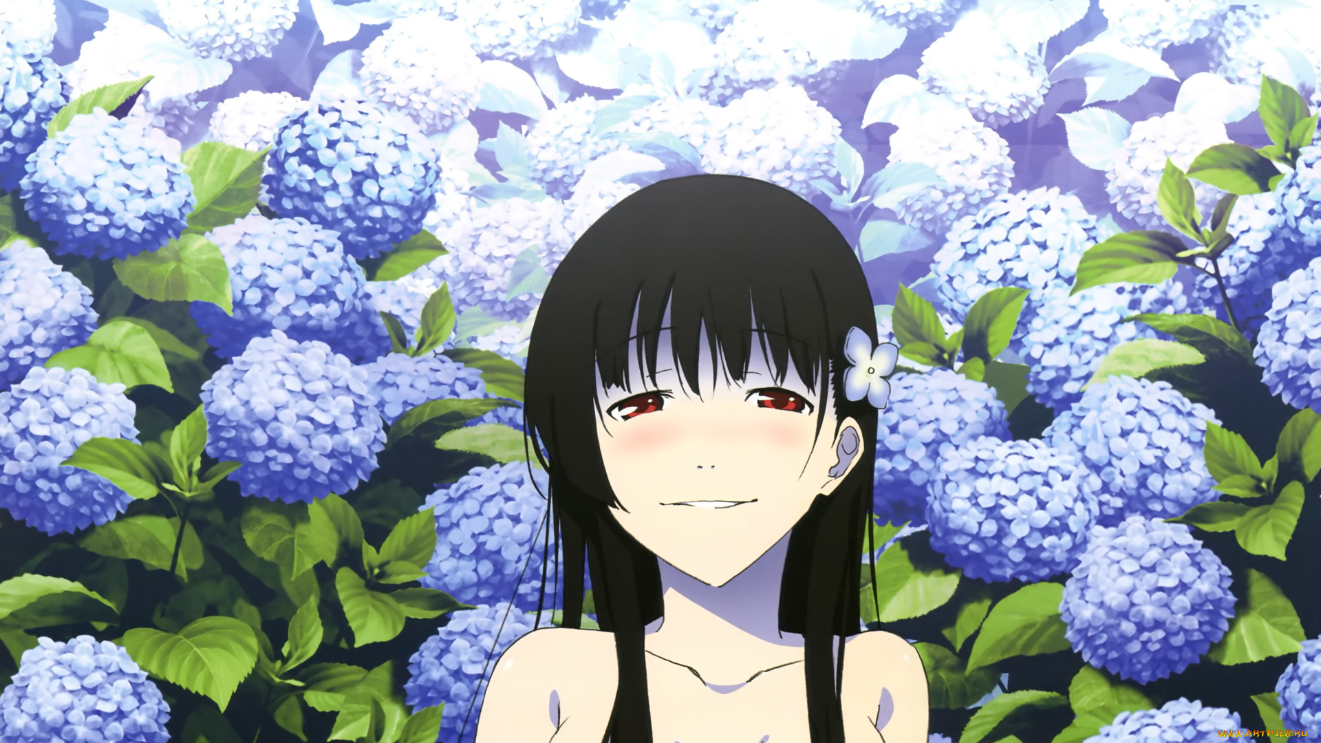 аниме, sankarea