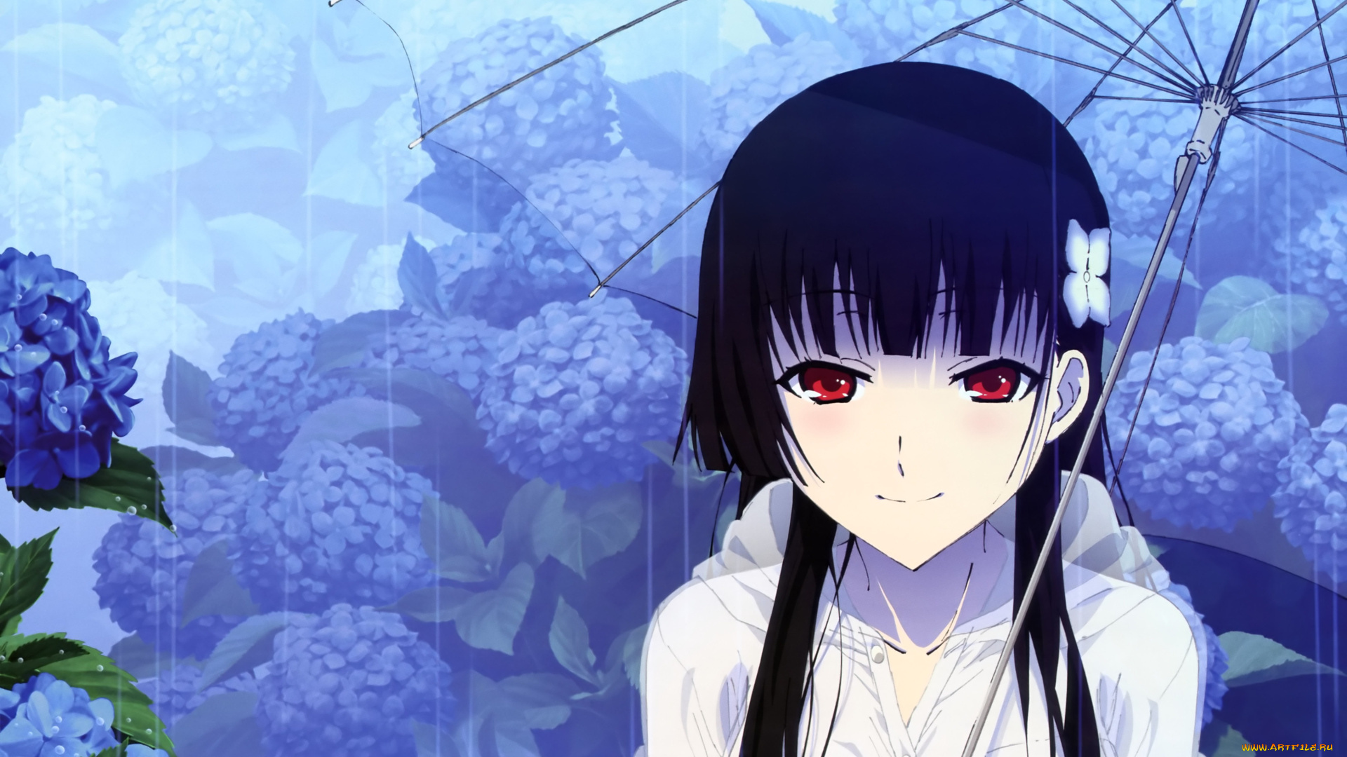 аниме, sankarea