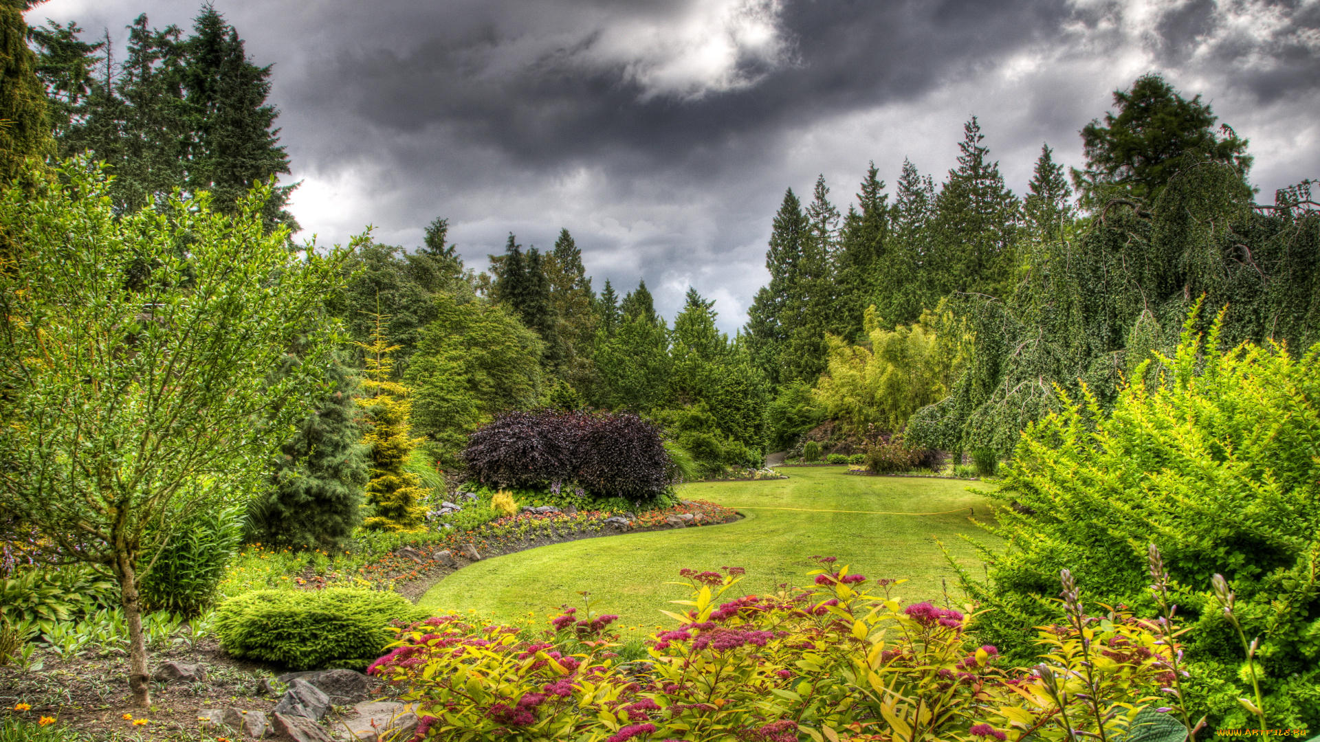 природа, парк, queen, elizabeth, vancouver, канада